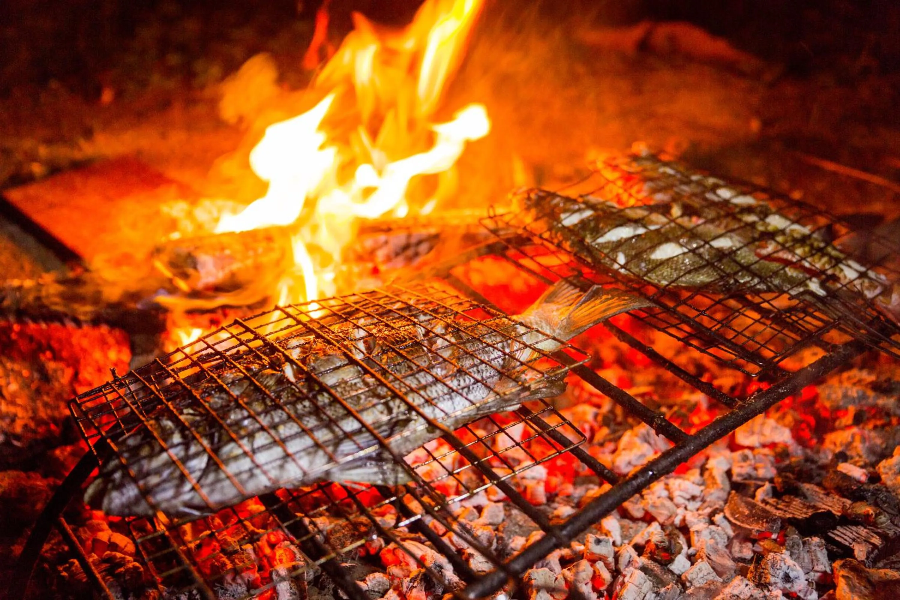 BBQ facilities in Myamo Beach Lodge