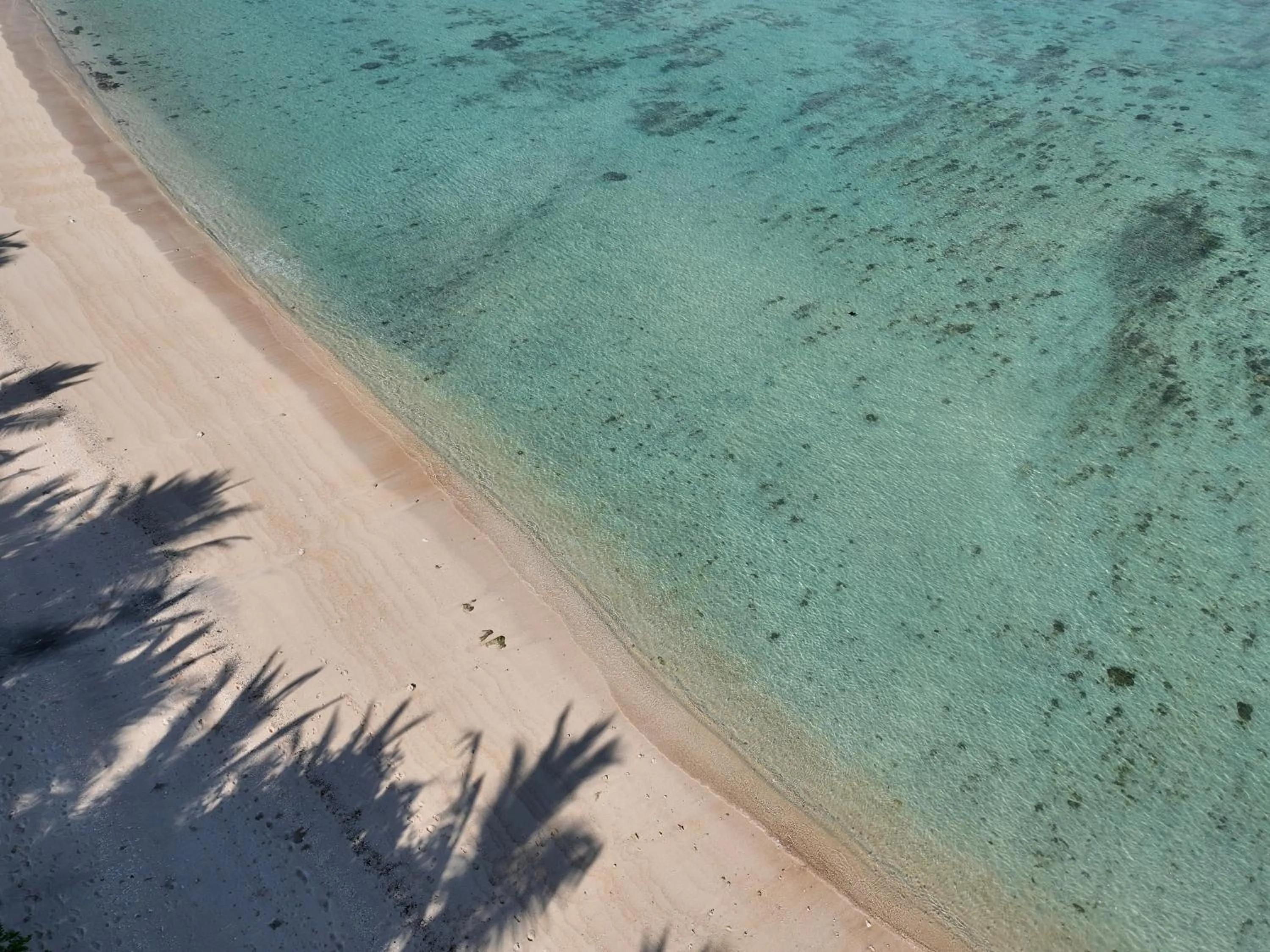 Beach in Myamo Beach Lodge