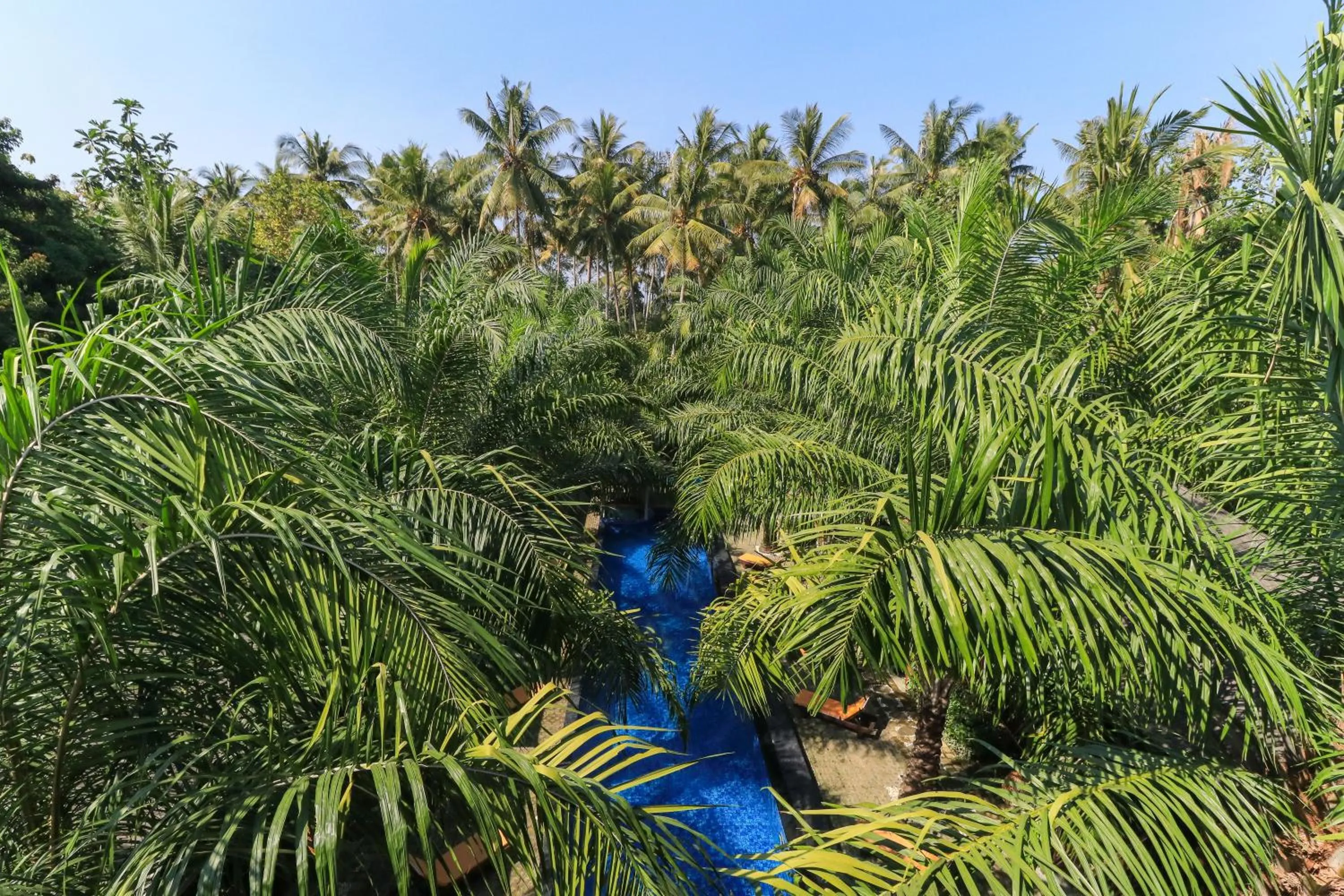 Garden view in Coconut Boutique Resort