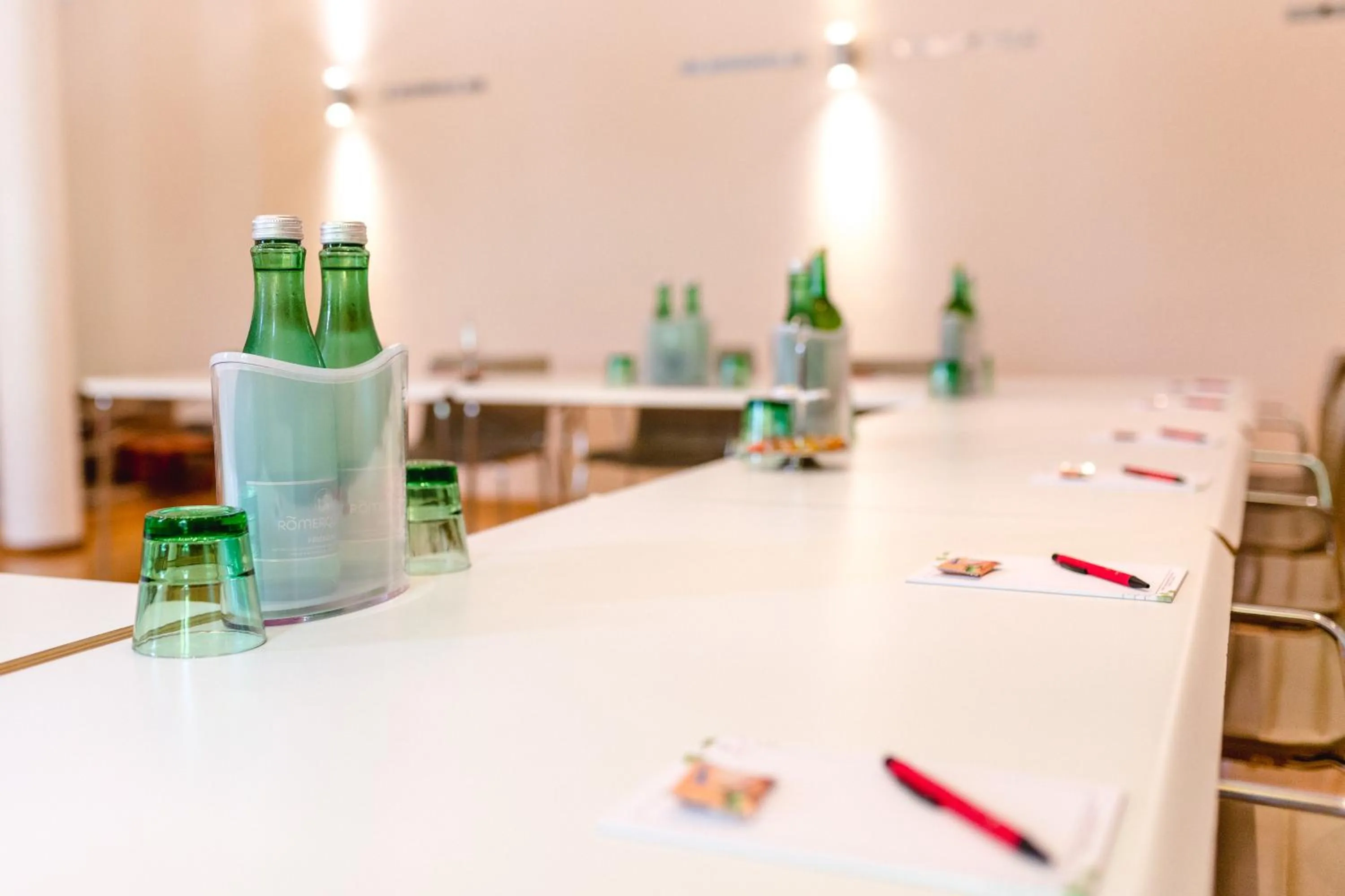 Business facilities in Winzerhotel Gumpoldskirchen