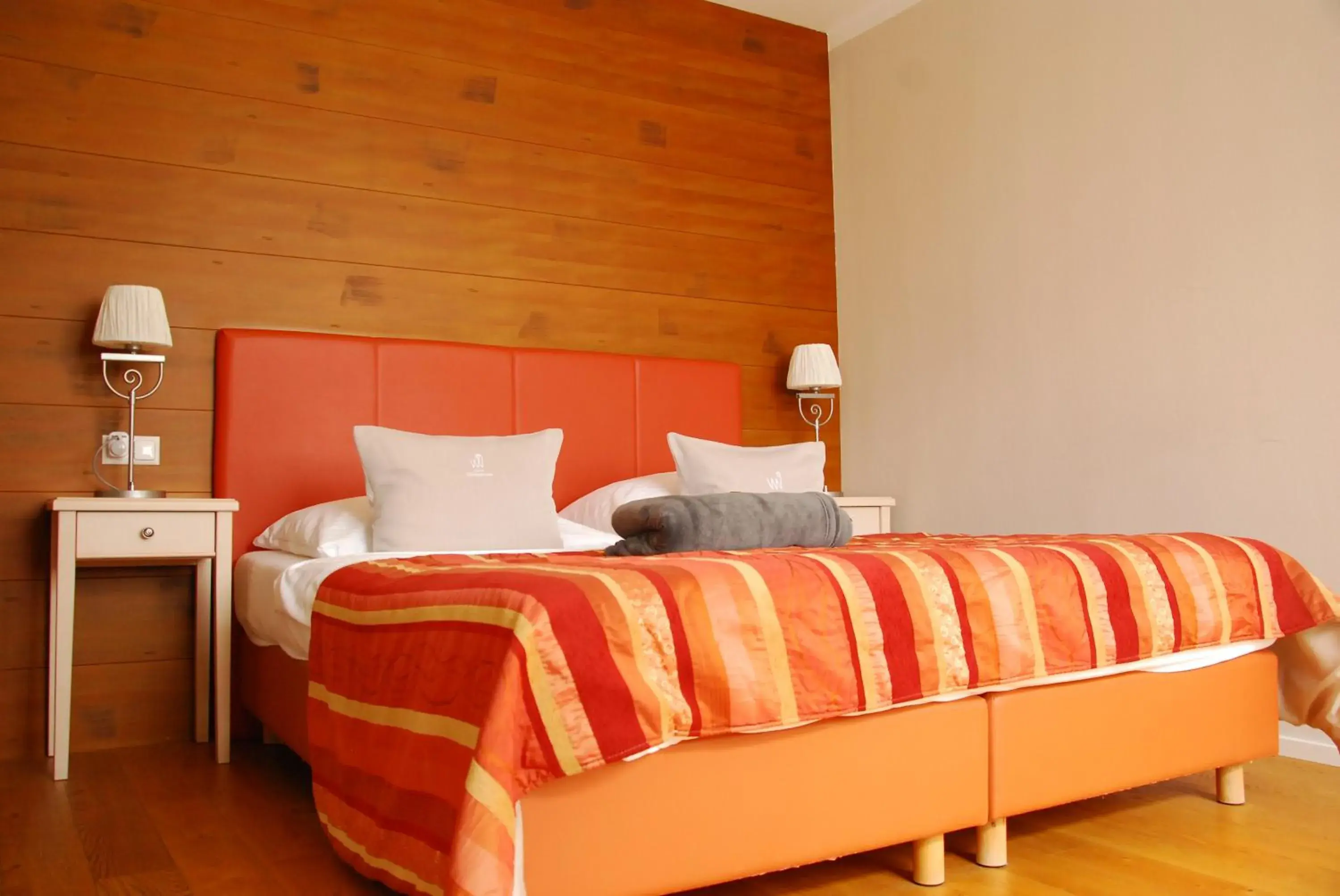 Superior Double Room - single occupancy in Winzerhotel Gumpoldskirchen Superior Double Room - single occupancy in Winzerhotel Gumpoldskirchen