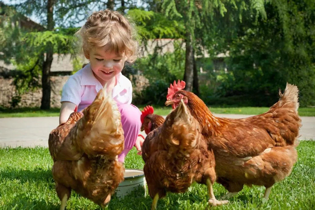 Animals in Hotel Wagrainerhof