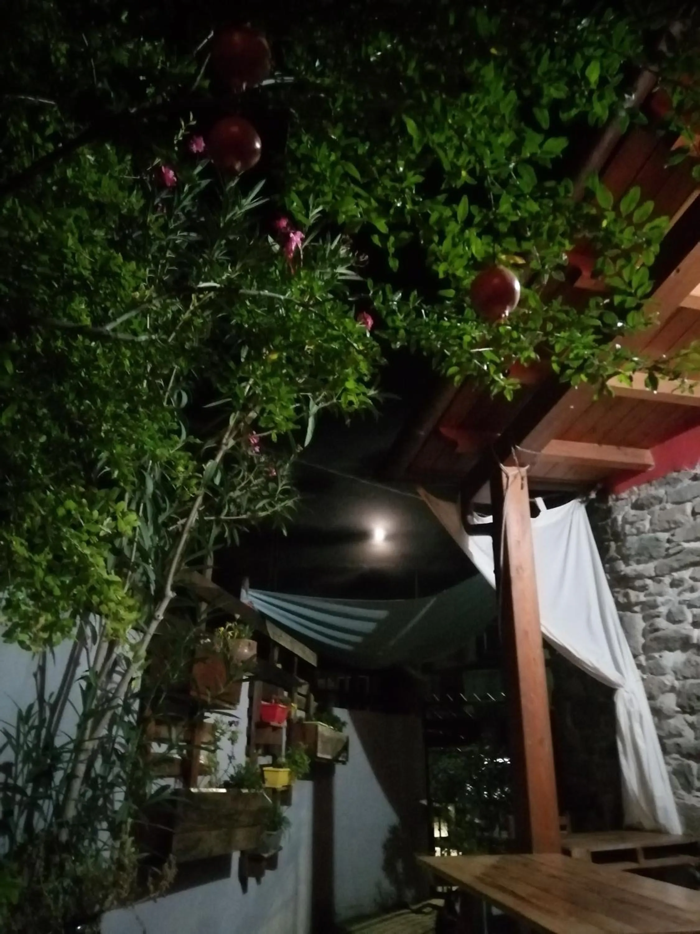 Night in B&B Daddanca