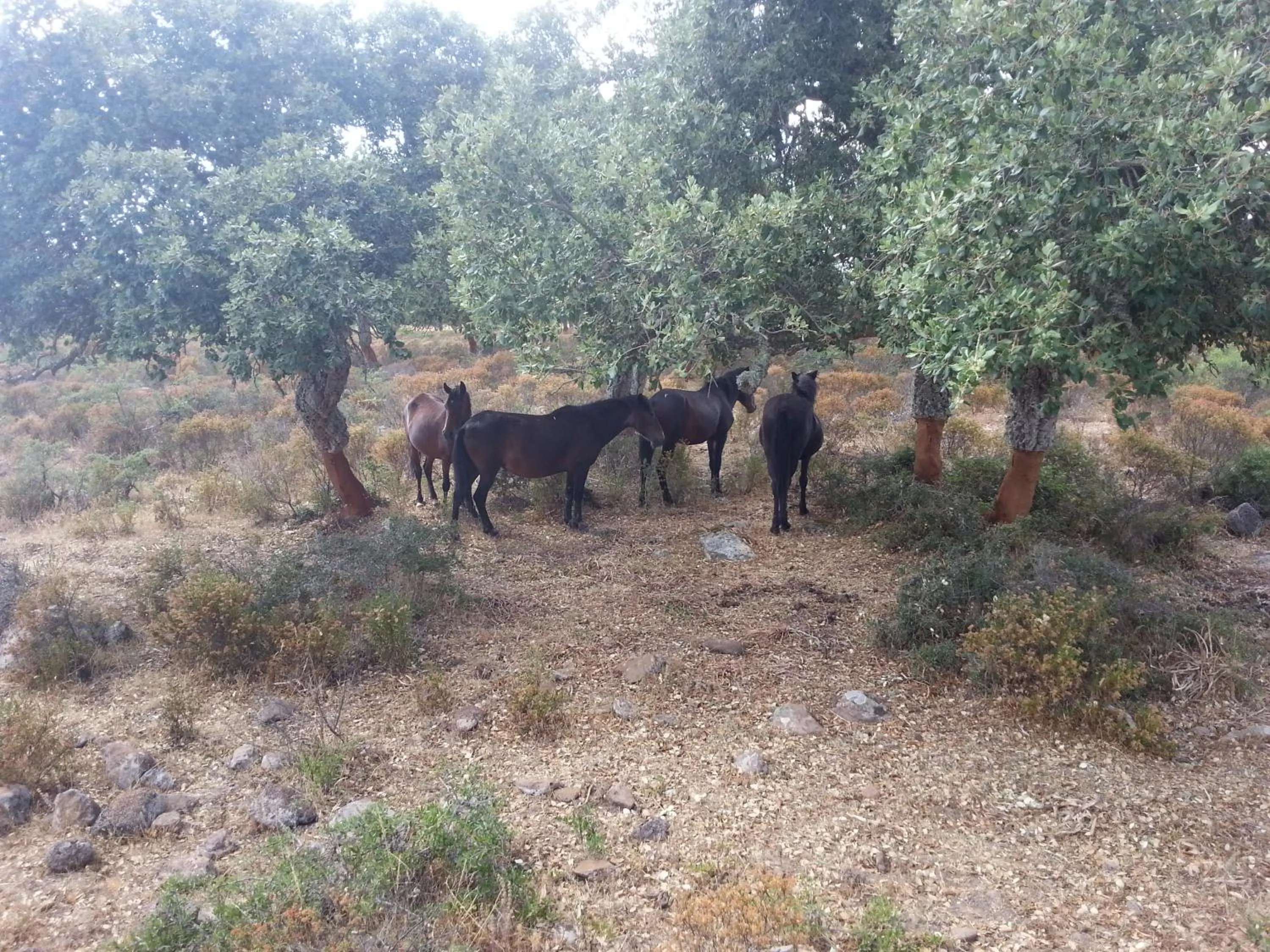 Hiking in B&B Daddanca