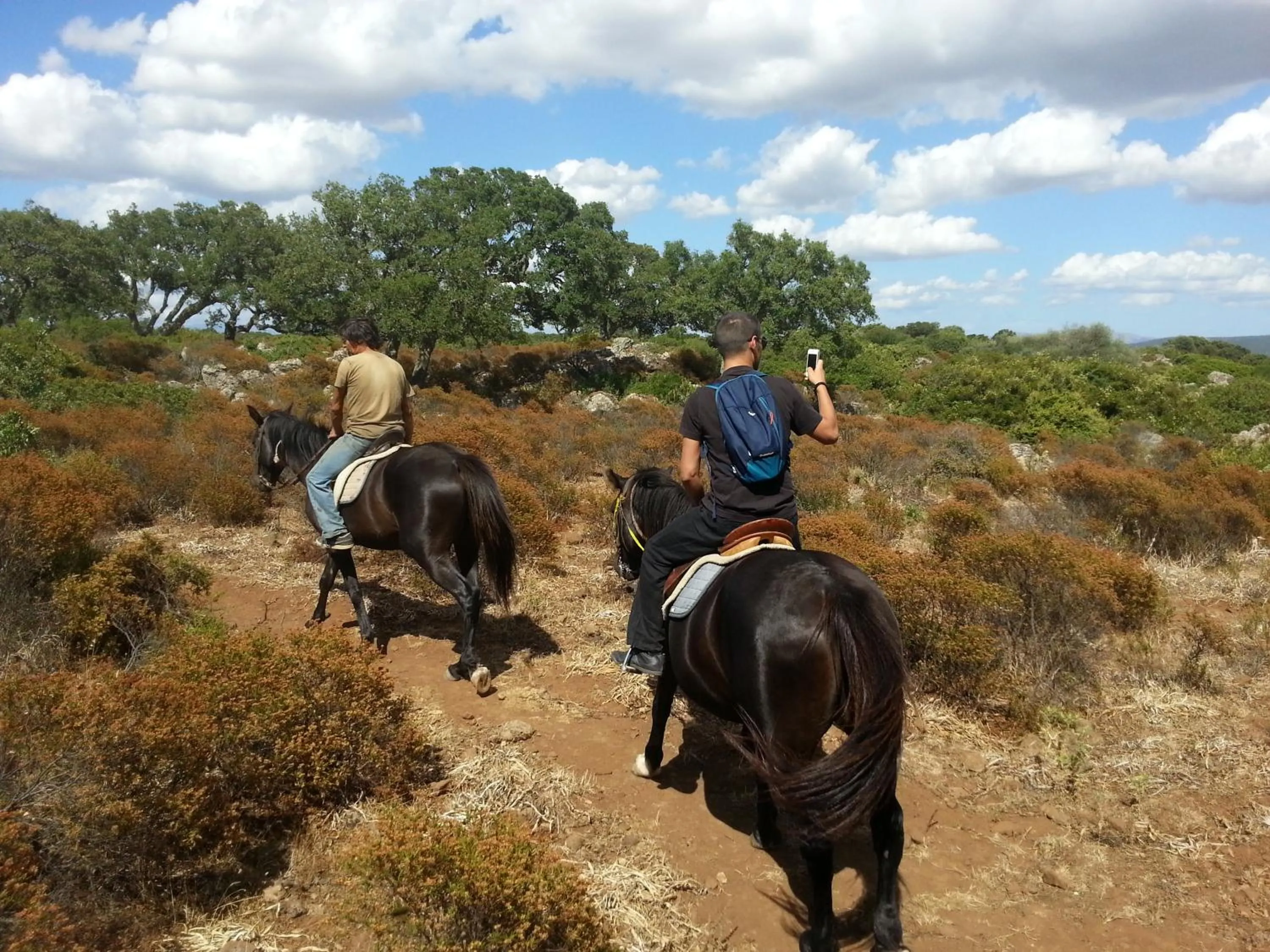 Natural landscape in B&B Daddanca