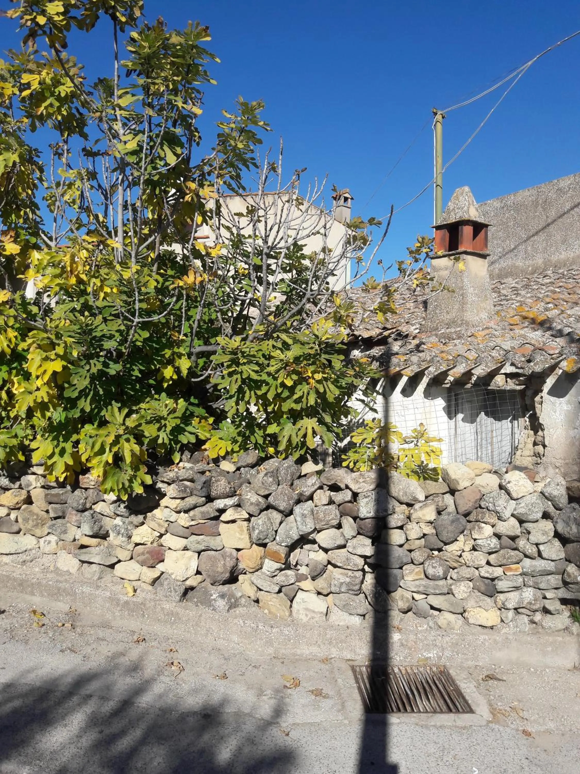 Natural landscape in B&B Daddanca