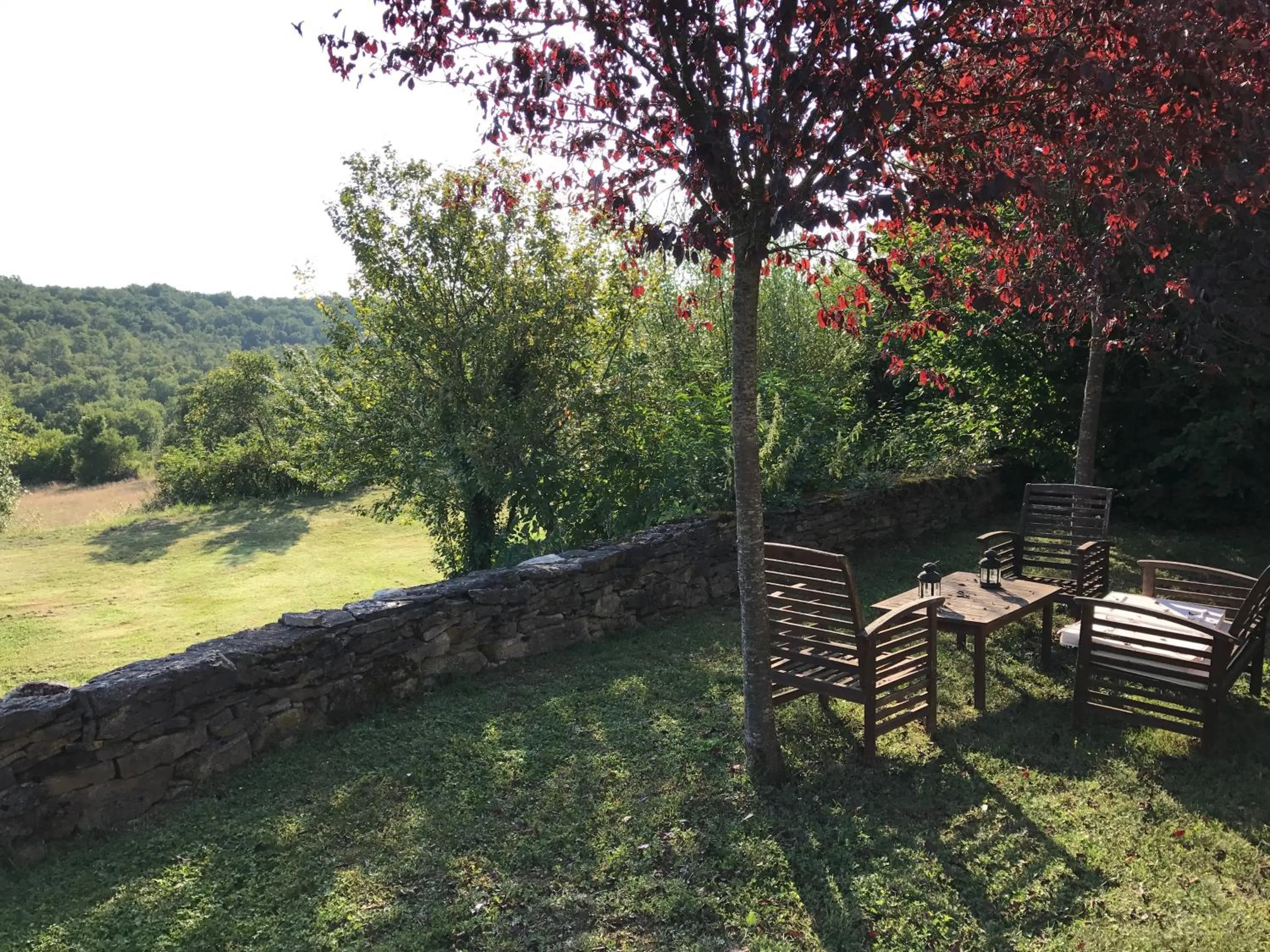 Garden in Chambres d'hôtes Pech Blanc