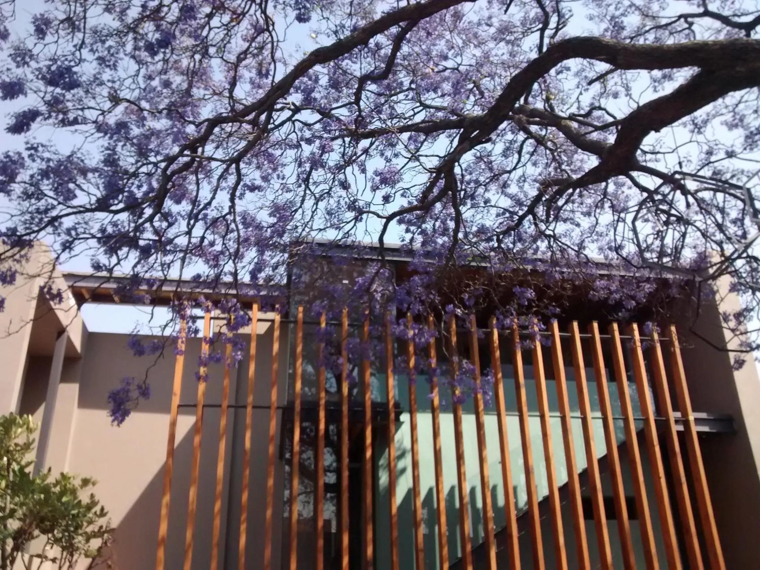 Patio in Hotel Criol