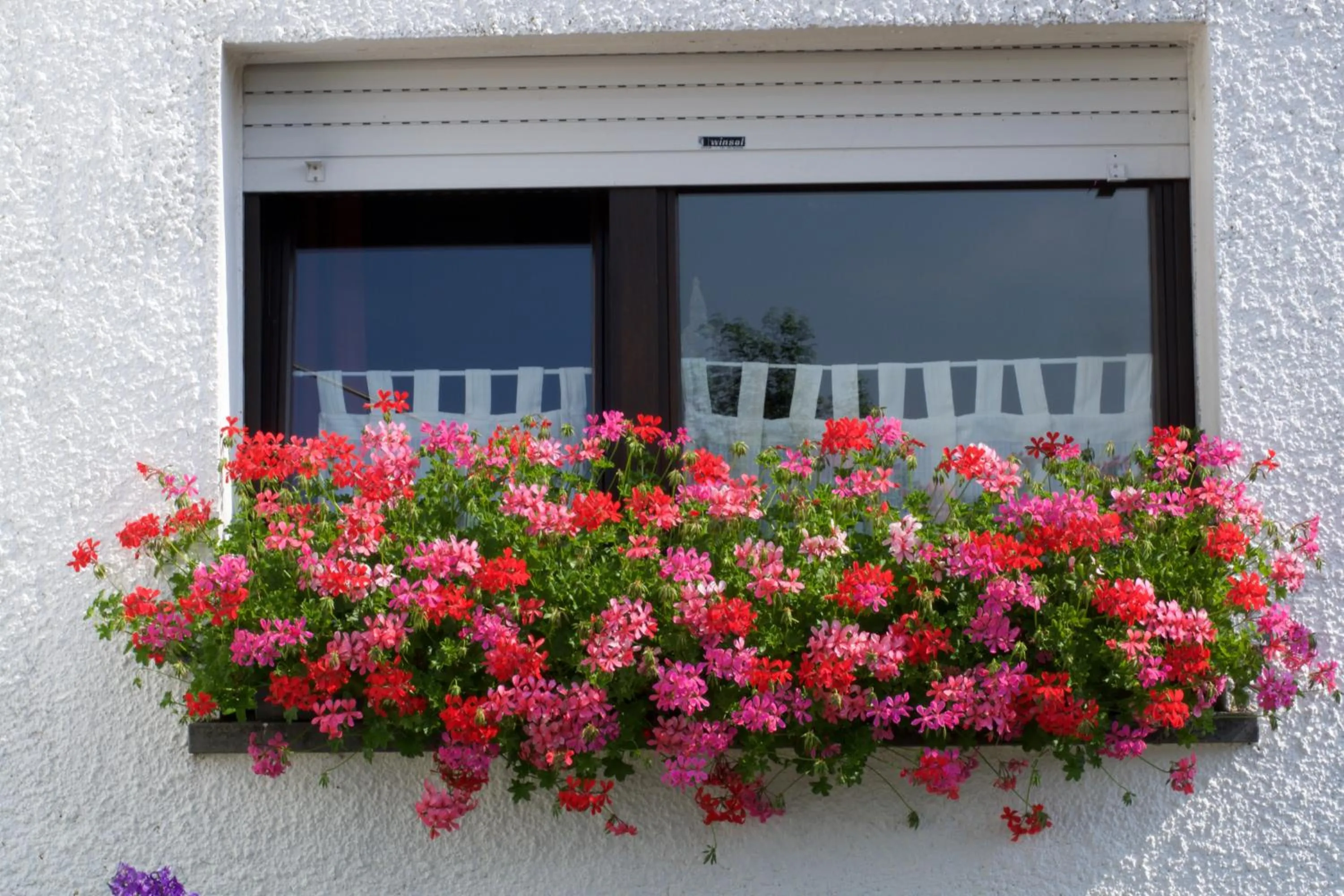 Decorative detail in B&B De Eifelhoeve