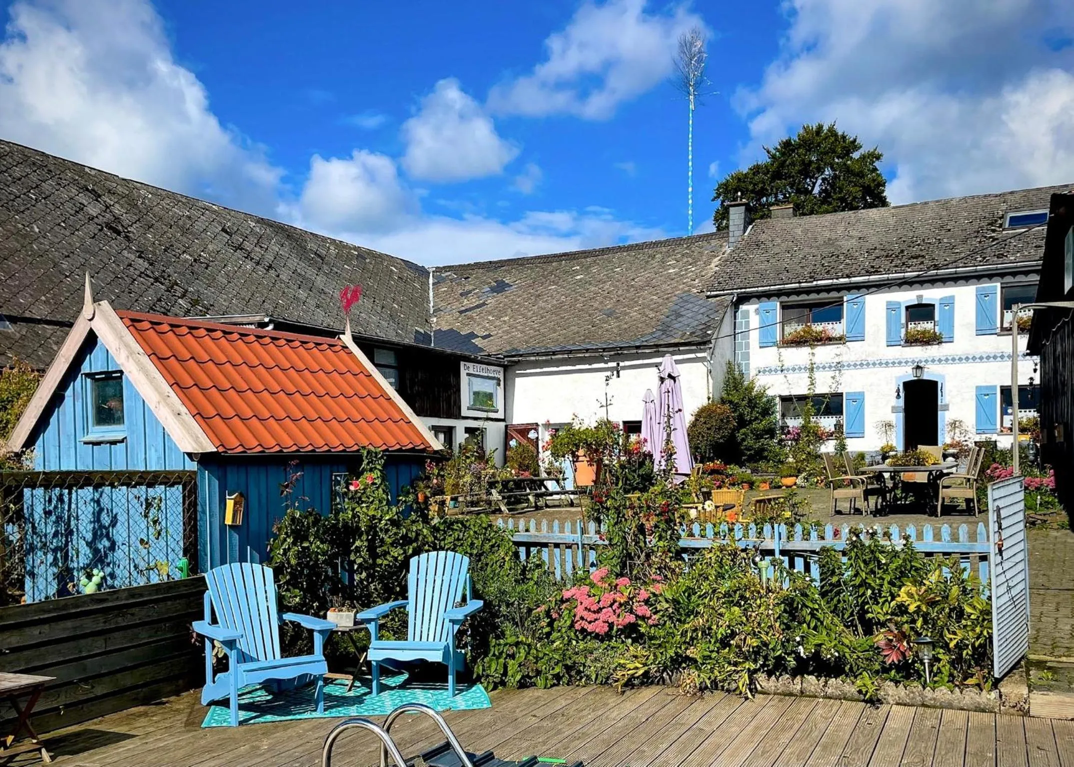 Swimming pool in B&B De Eifelhoeve