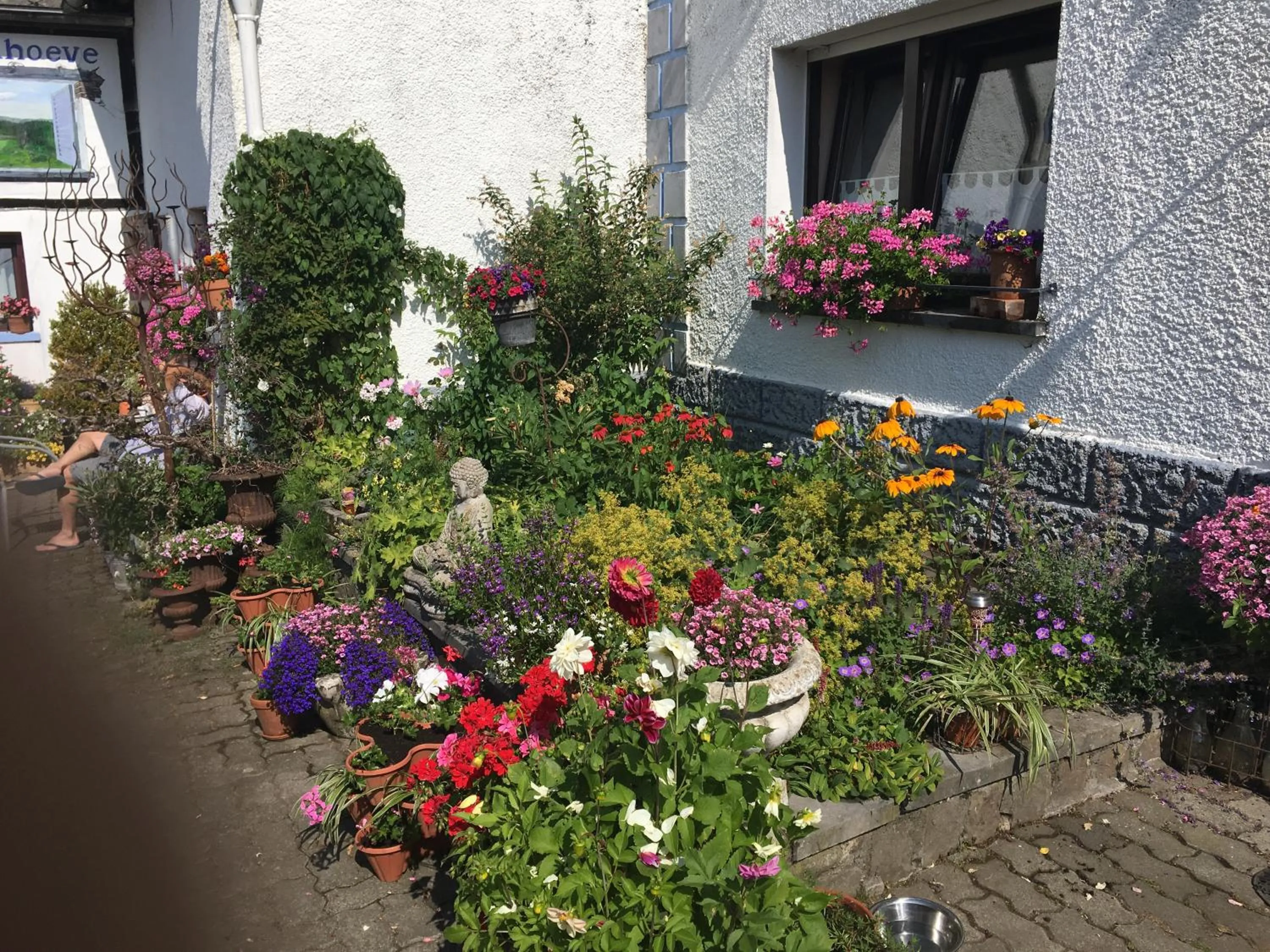 On site in B&B De Eifelhoeve