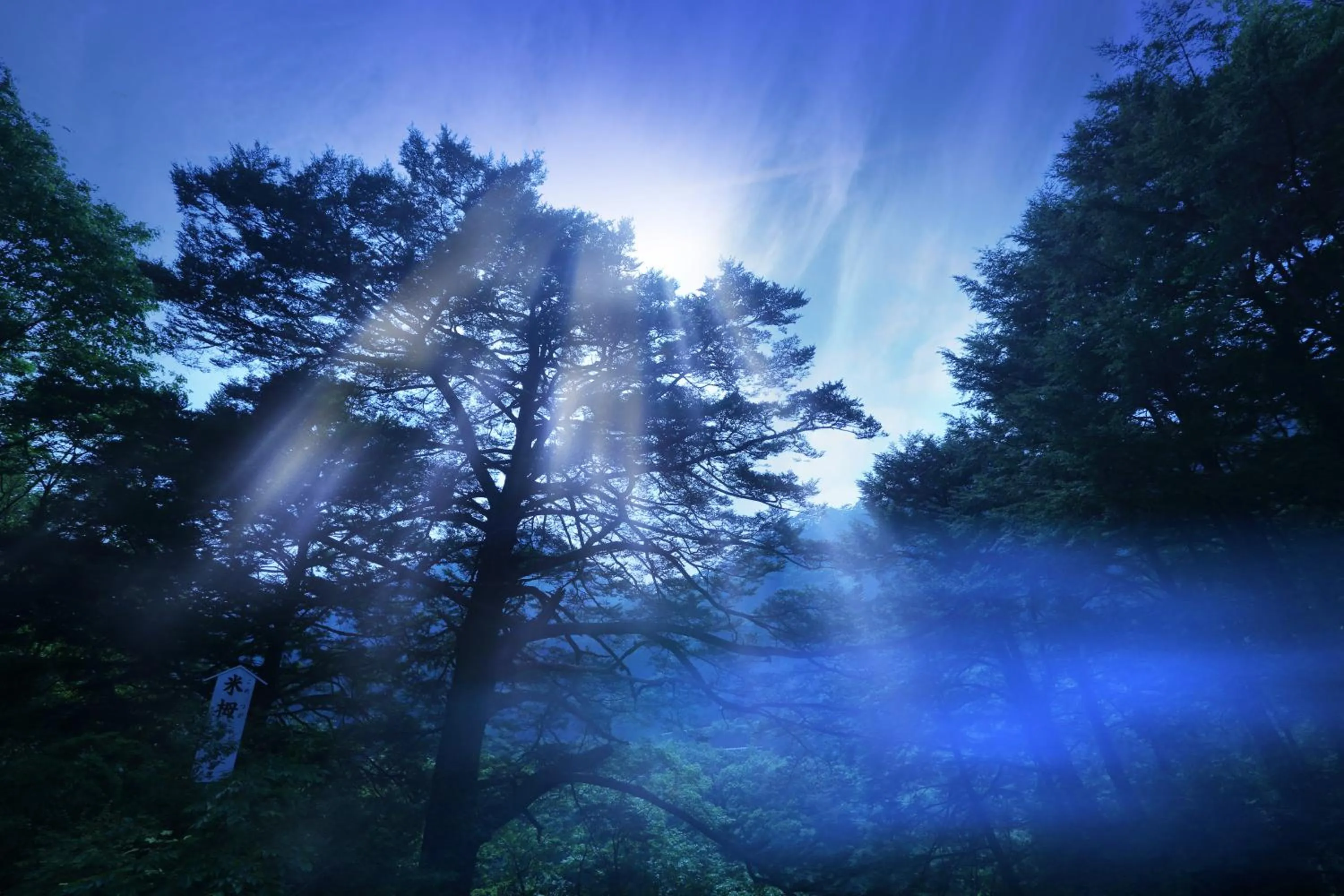 Natural landscape in Tsuganoki