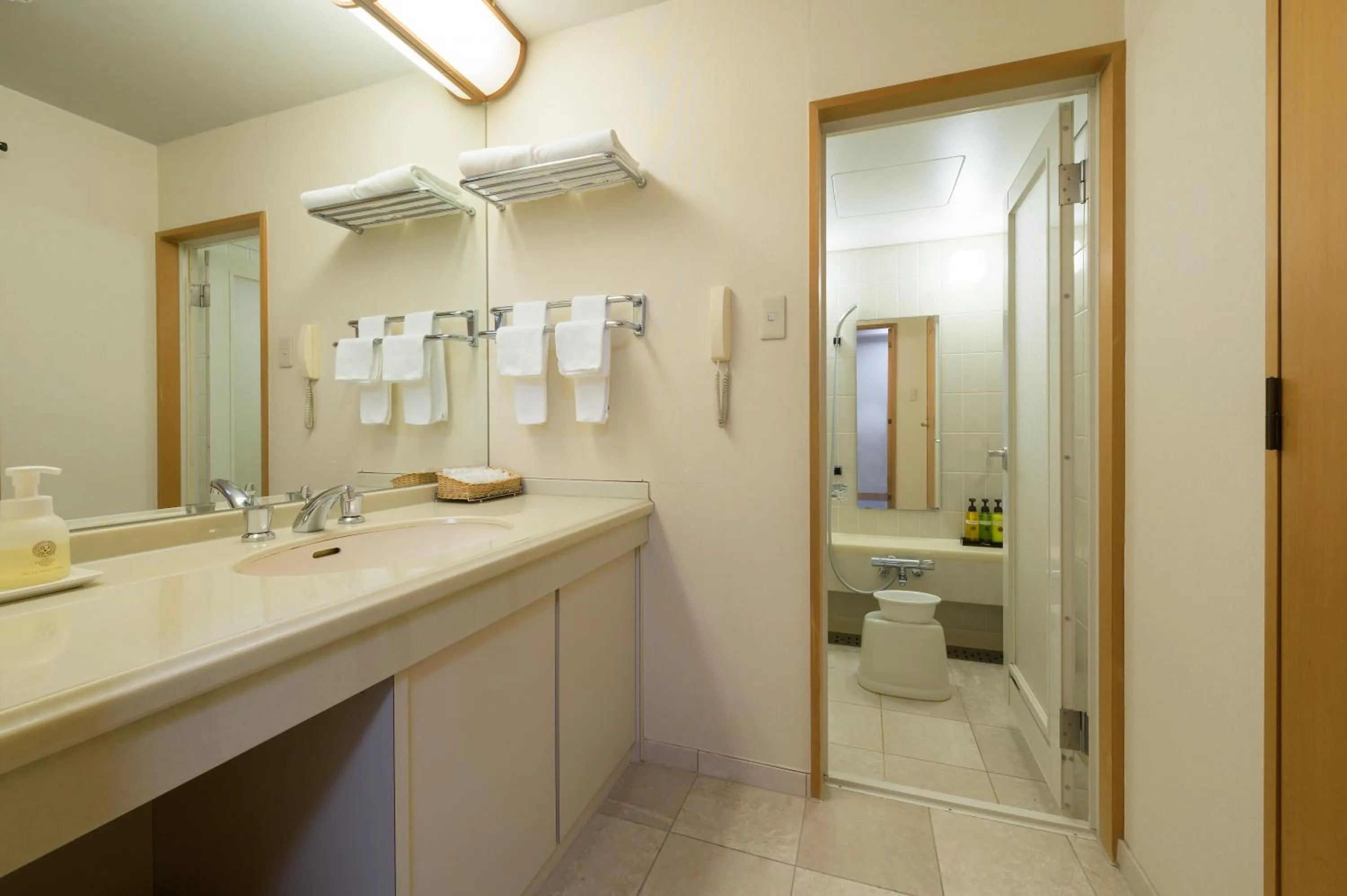 Bathroom in Hotel Aomori