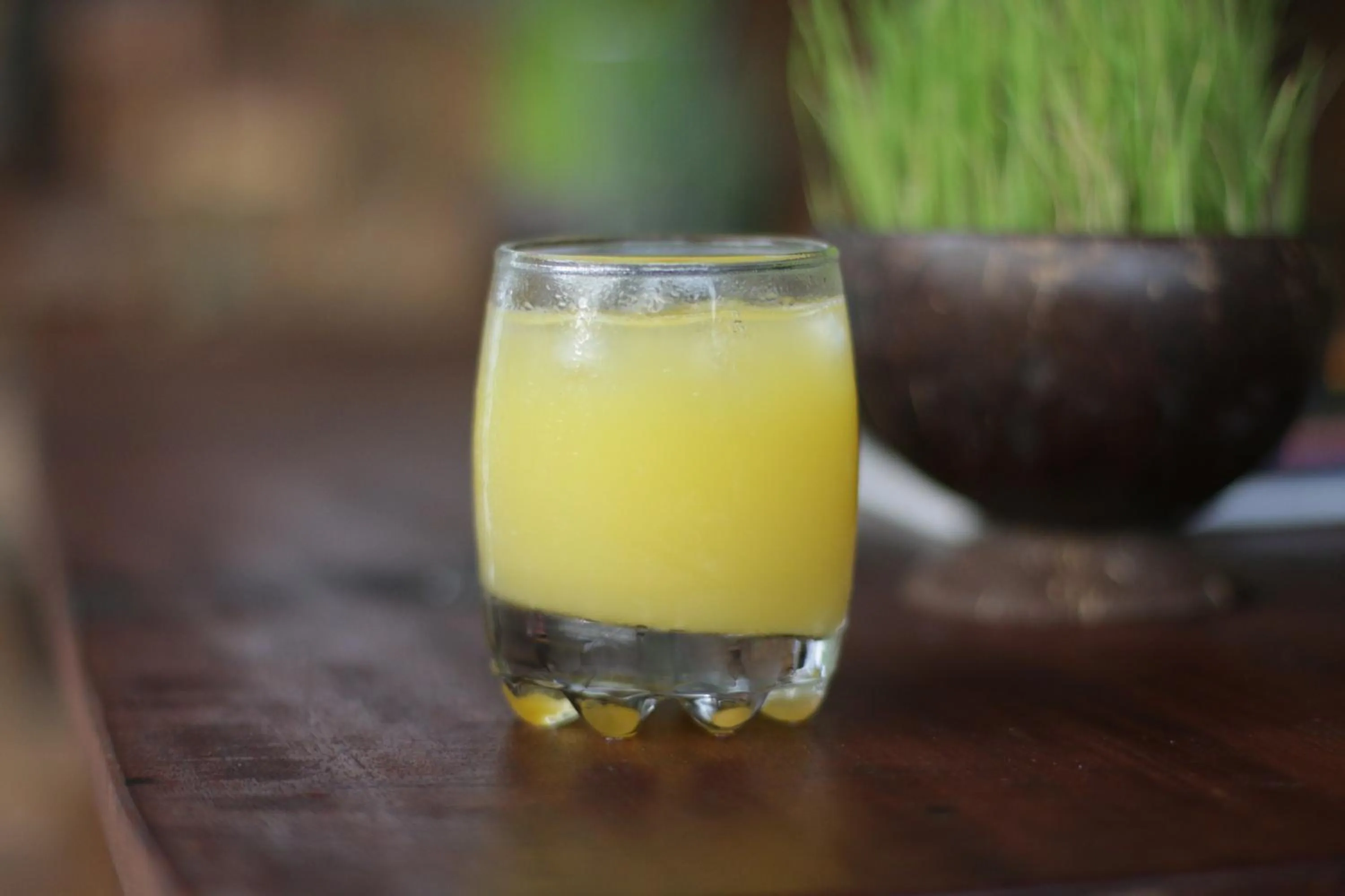 Drinks in Green Bird Villa