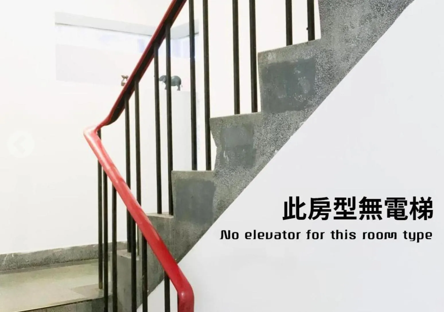 OwlStay Flip Flop Hostel - Garden