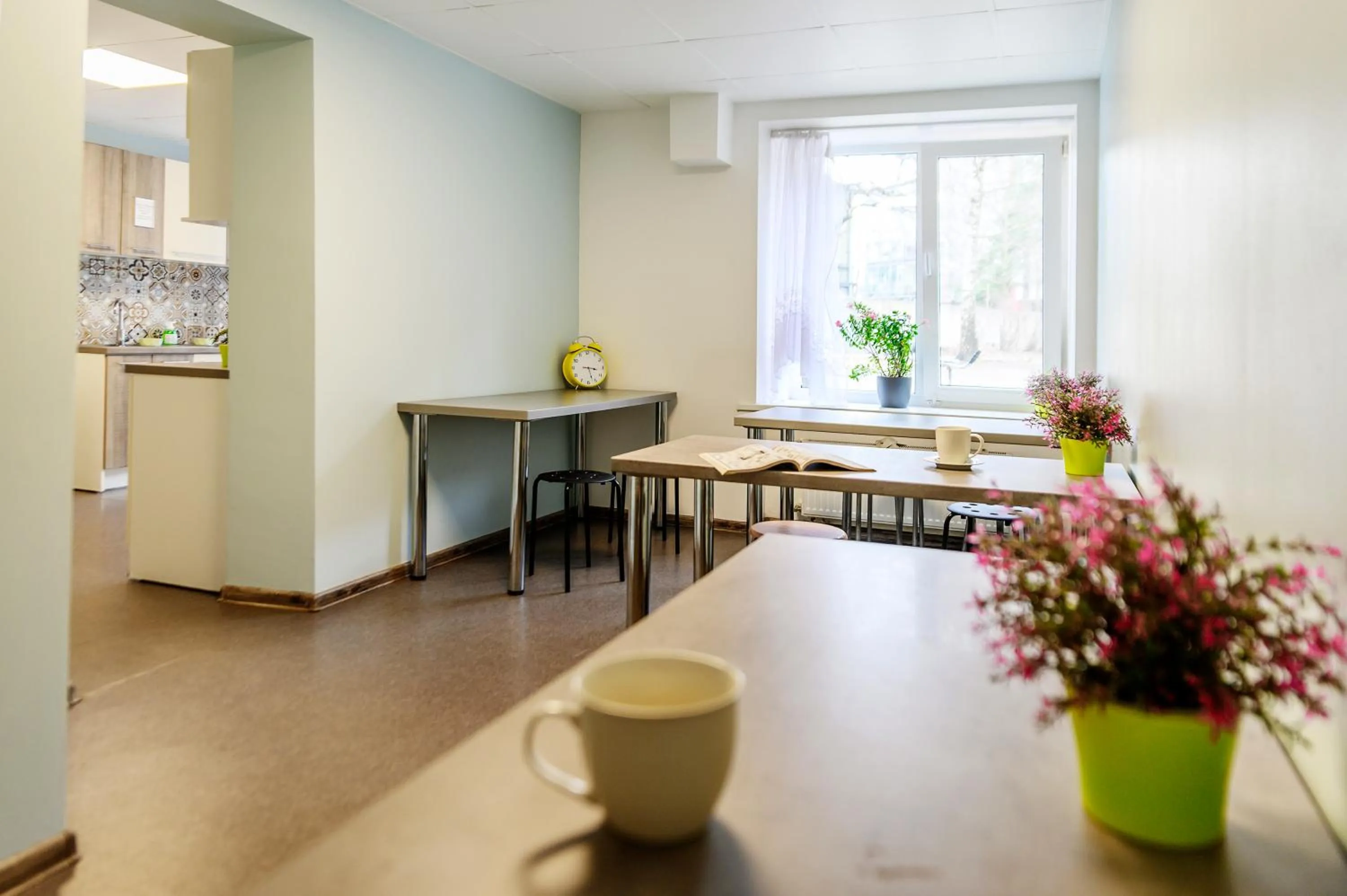 Kitchen or kitchenette in Bridge Hotel Riga