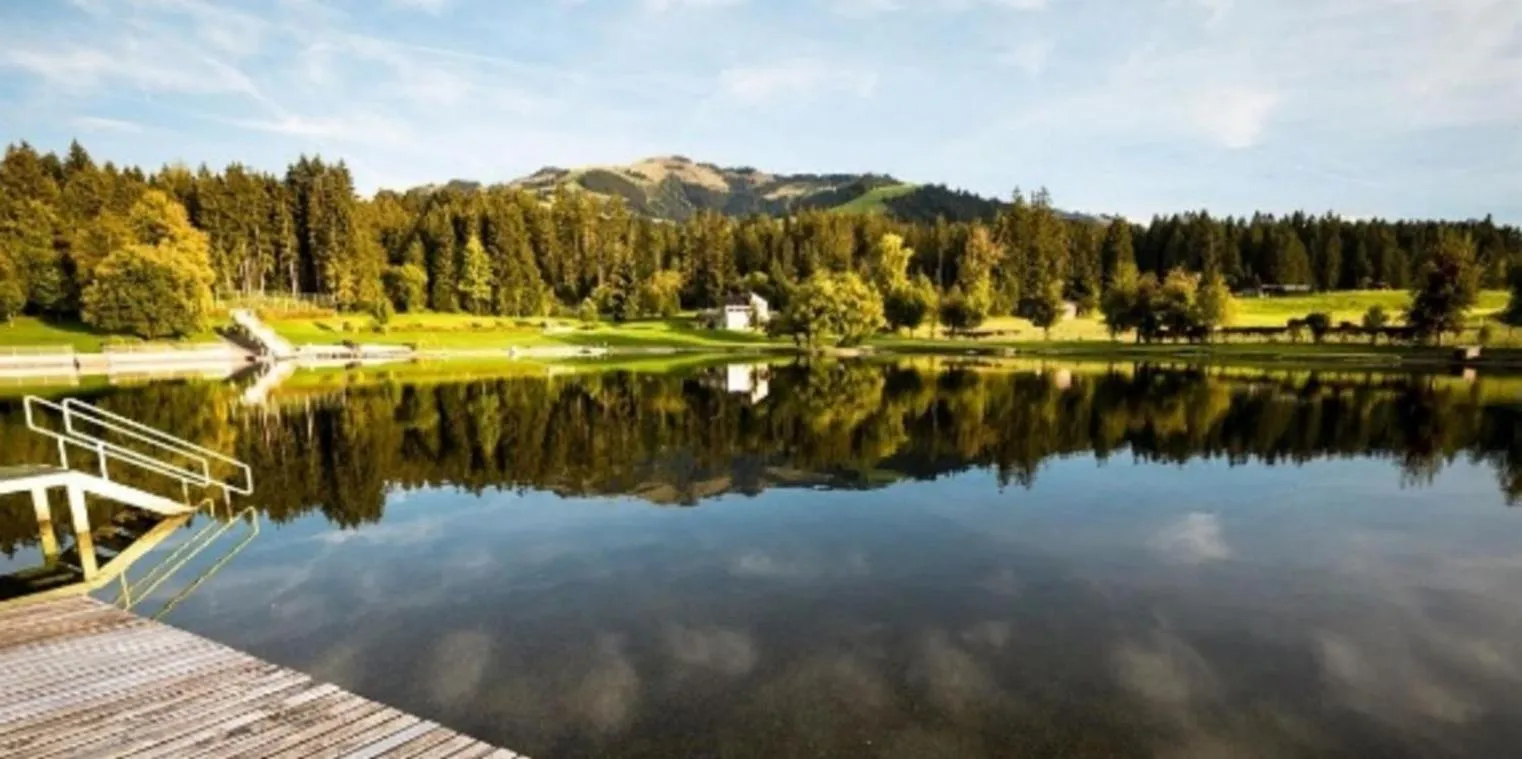 Natural landscape in Hotel Metzgerwirt