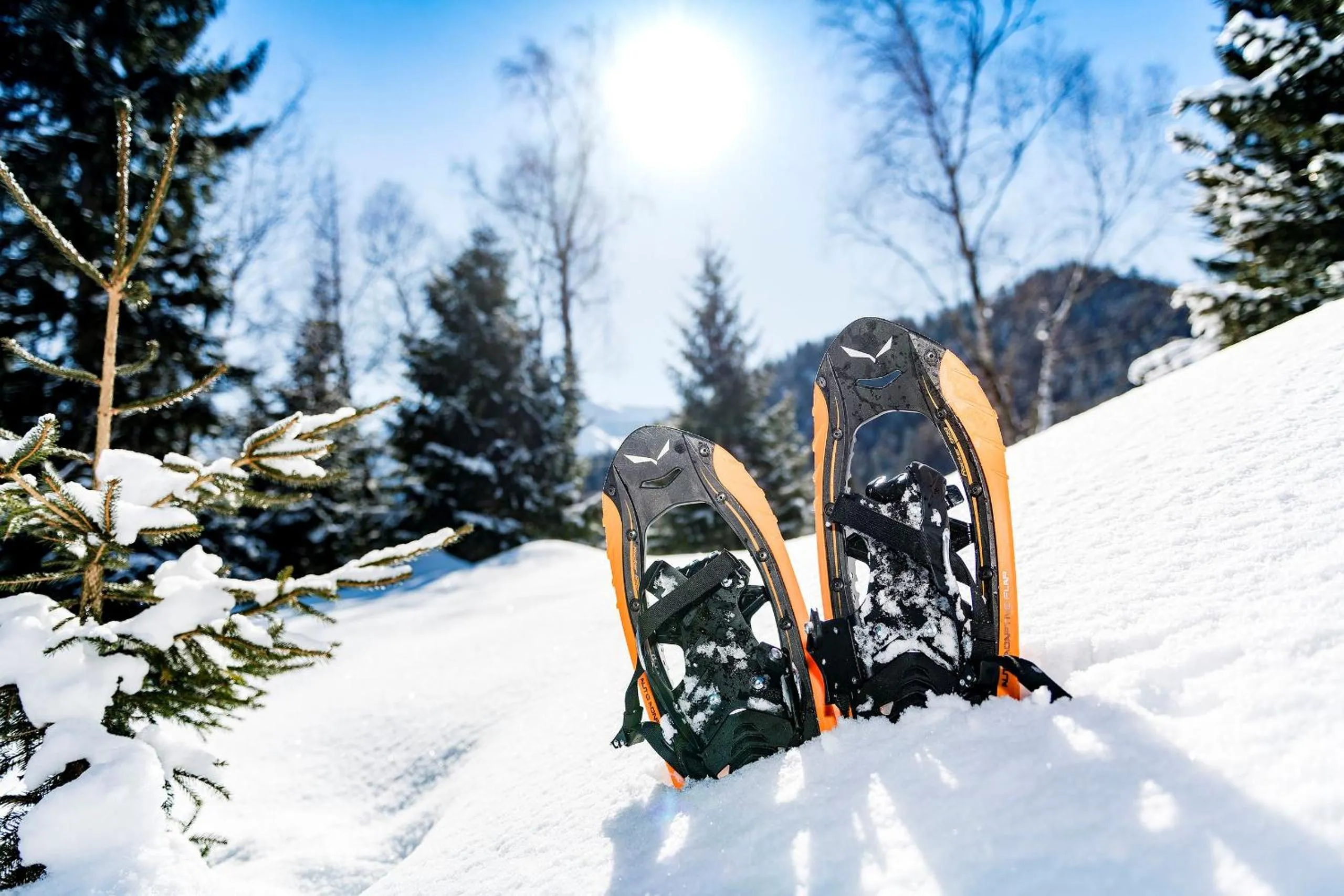 Hiking in Garni Das SONNALP