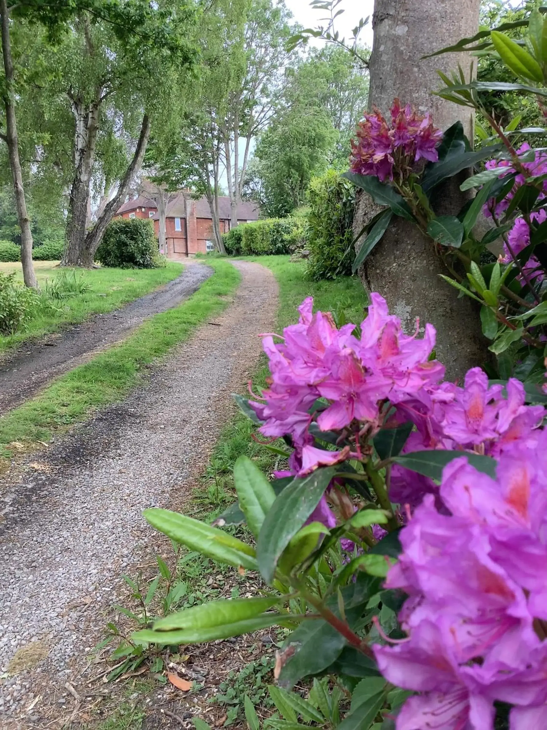 Humphries Cross Apartments Humphries Cross Apartments