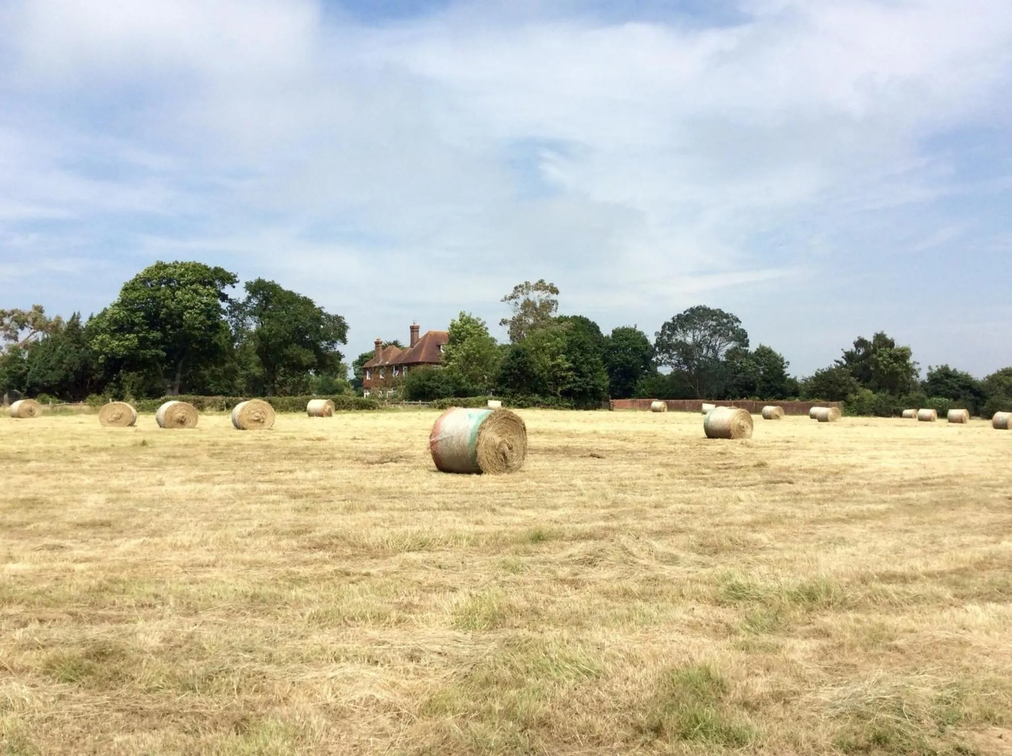 Summer in Humphries Cross Apartments