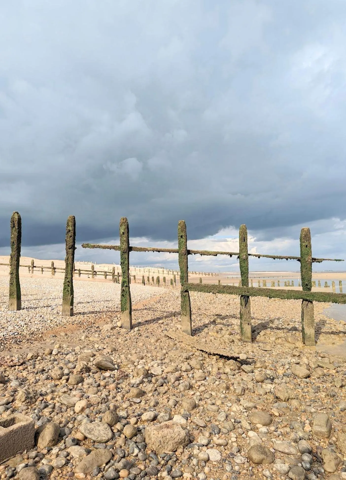 Beach in Humphries Cross Apartments
