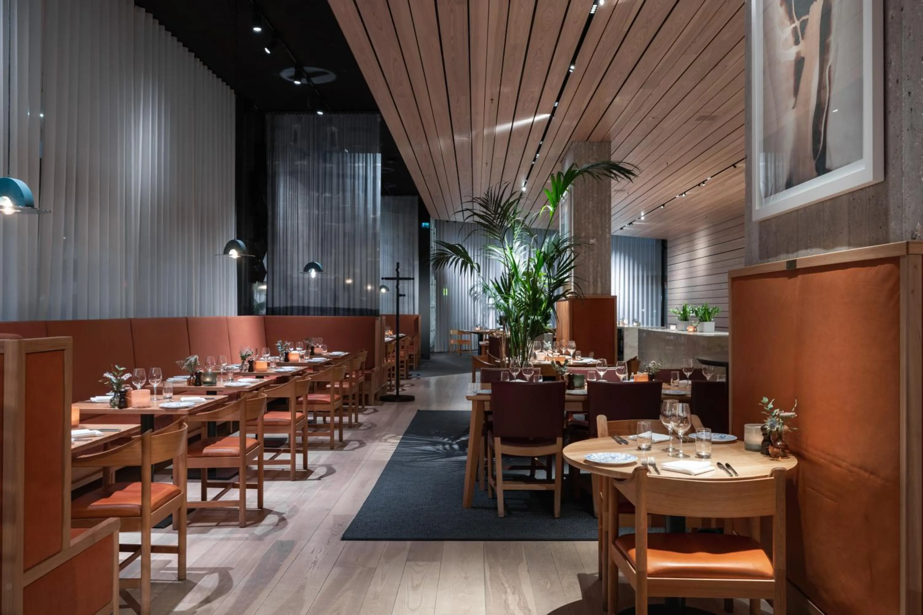 Restaurant/places to eat in Nordic Light Hotel