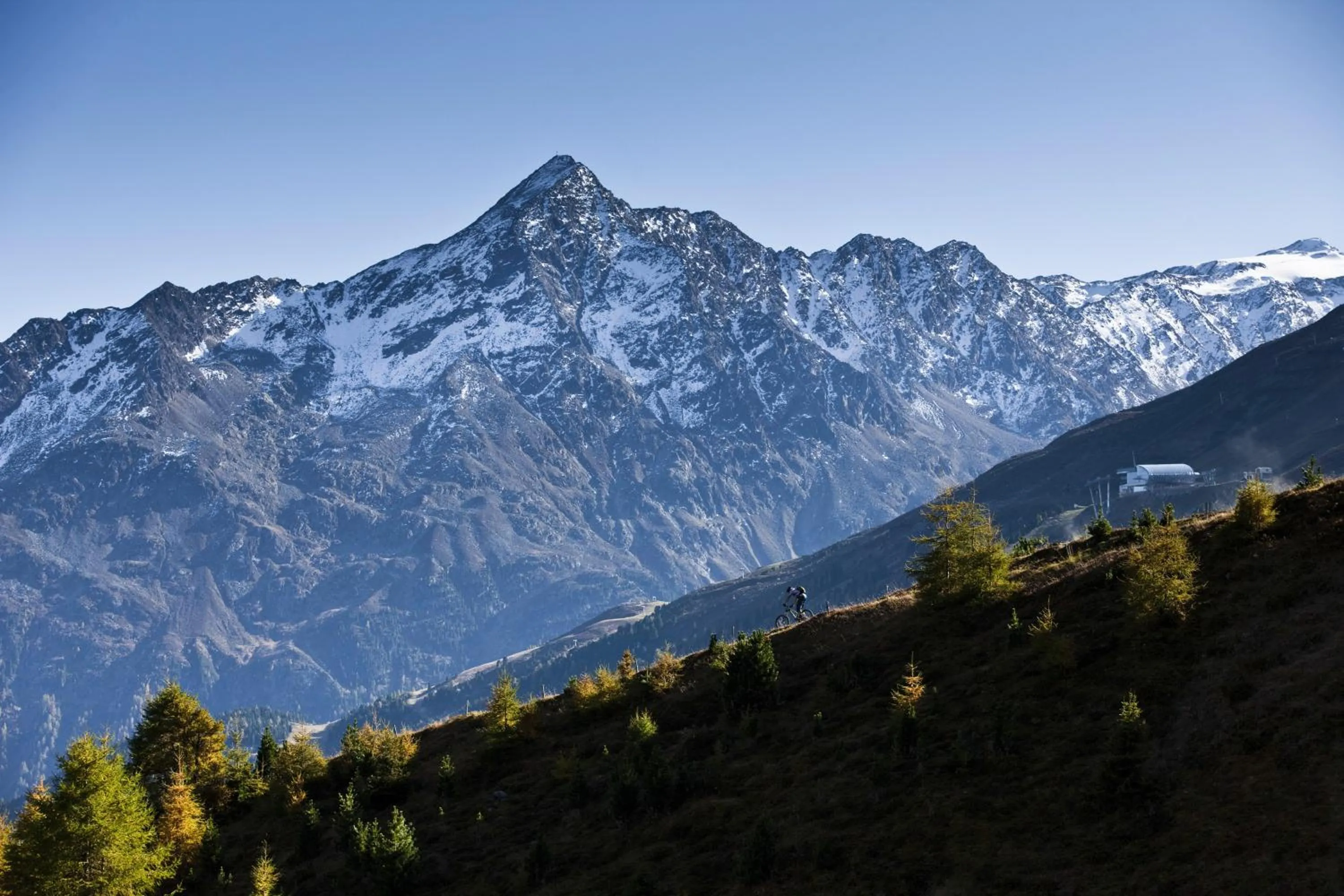 Area and facilities in Hotel Dominic