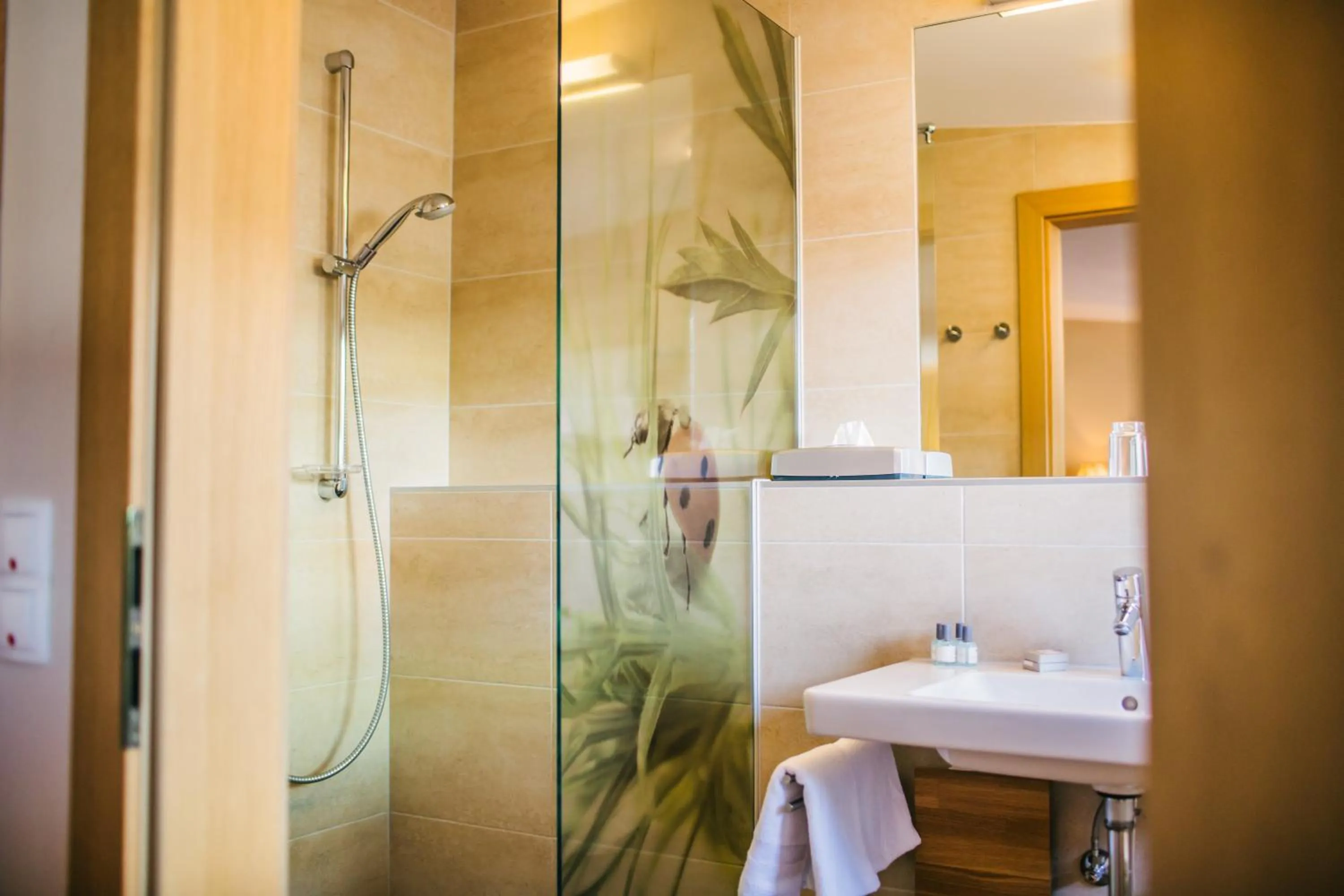 Bathroom in Hotel Dr Otto Murr B&B