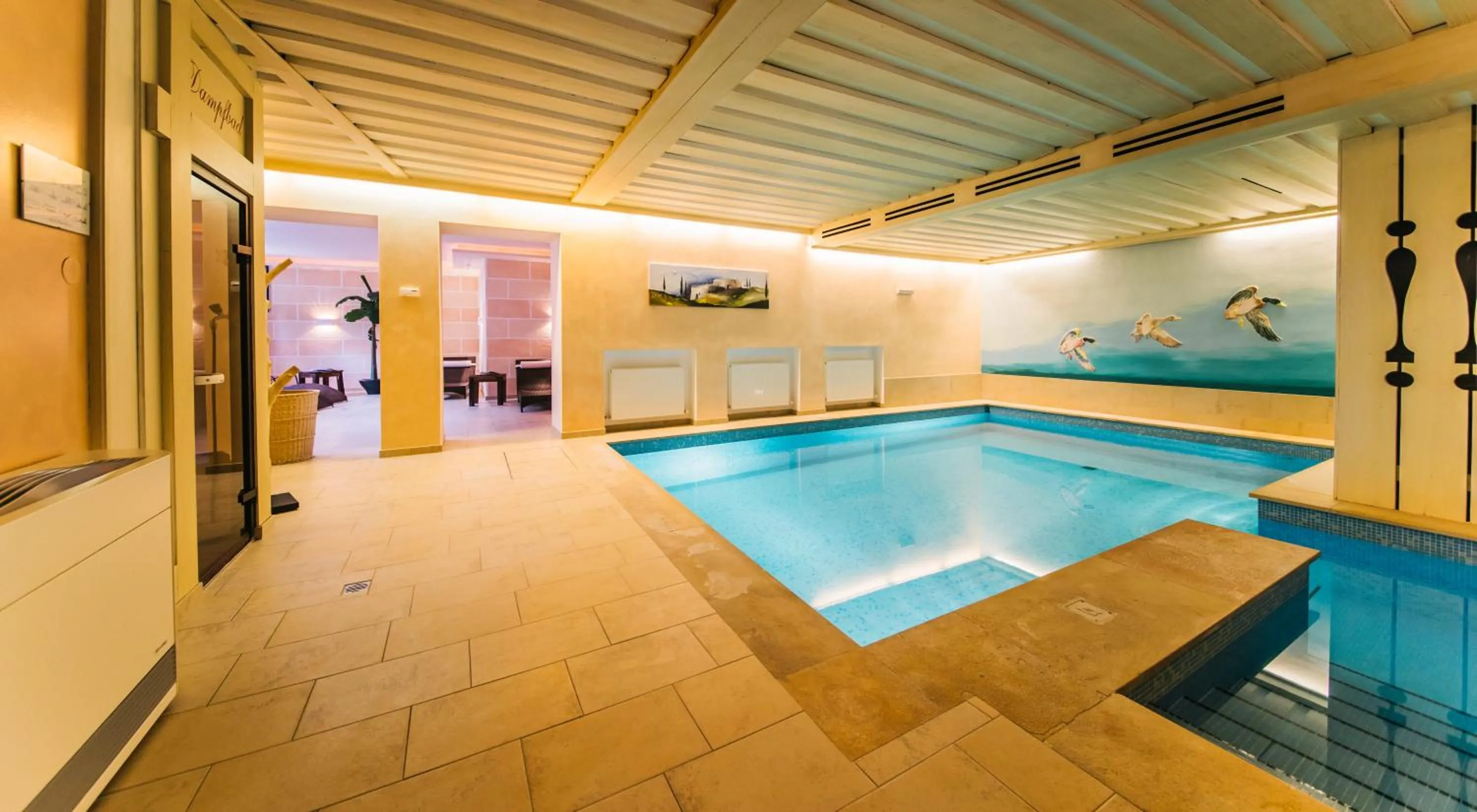 Swimming pool in Hotel Dr Otto Murr B&B