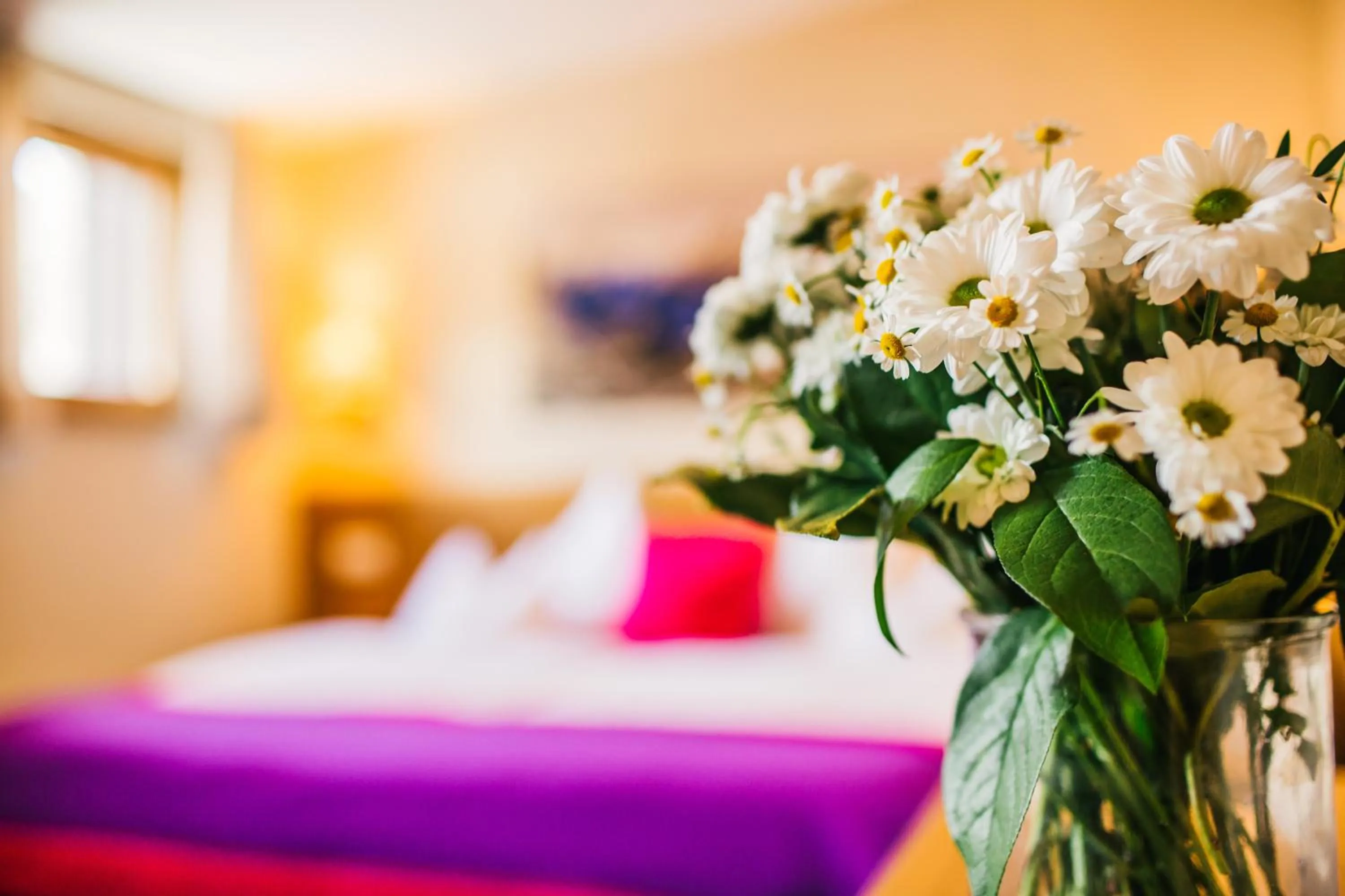 Bed in Hotel Dr Otto Murr B&B