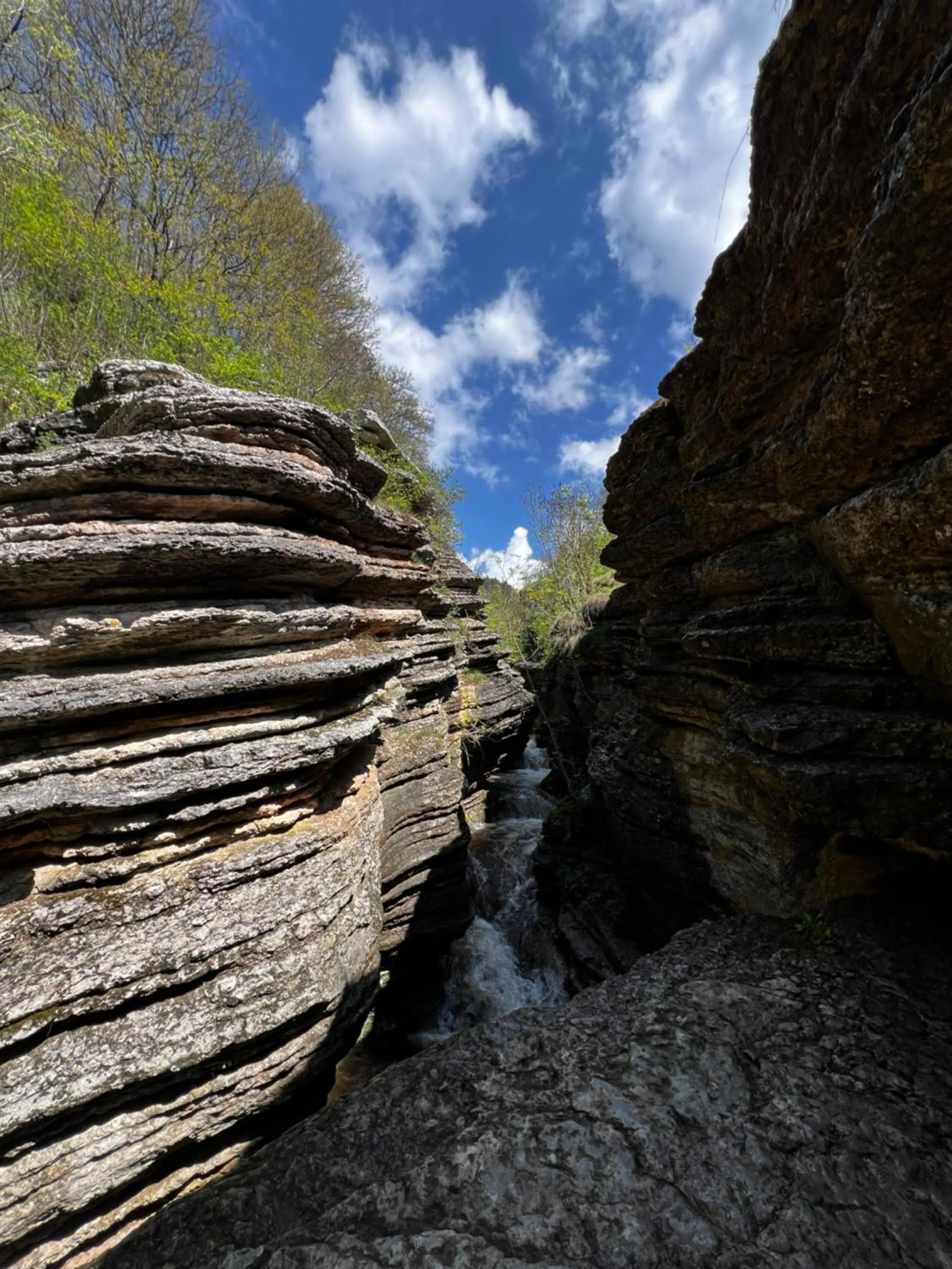 Hiking in Hotel Happy