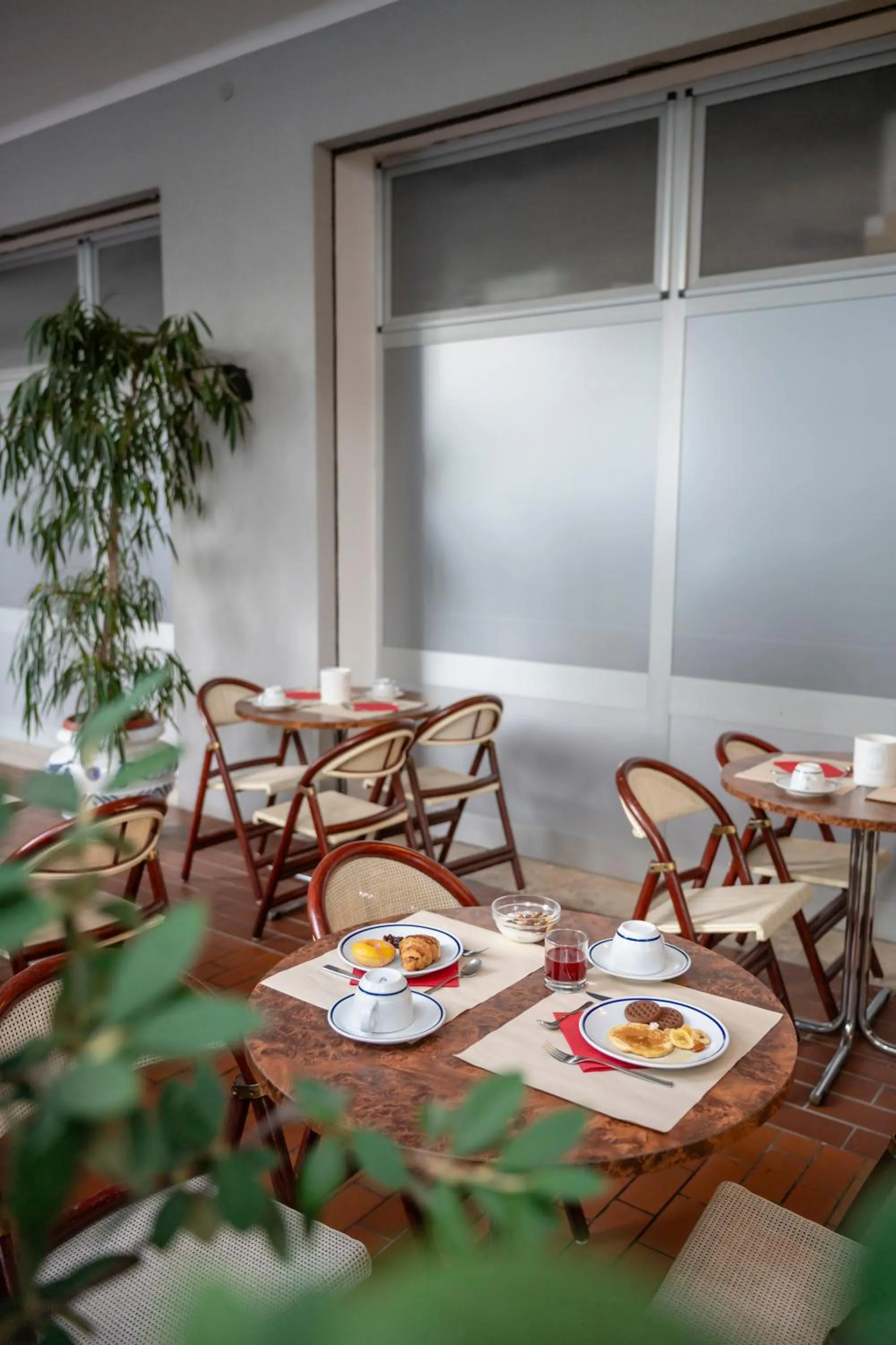 Food and drinks in Aparthotel Pineda