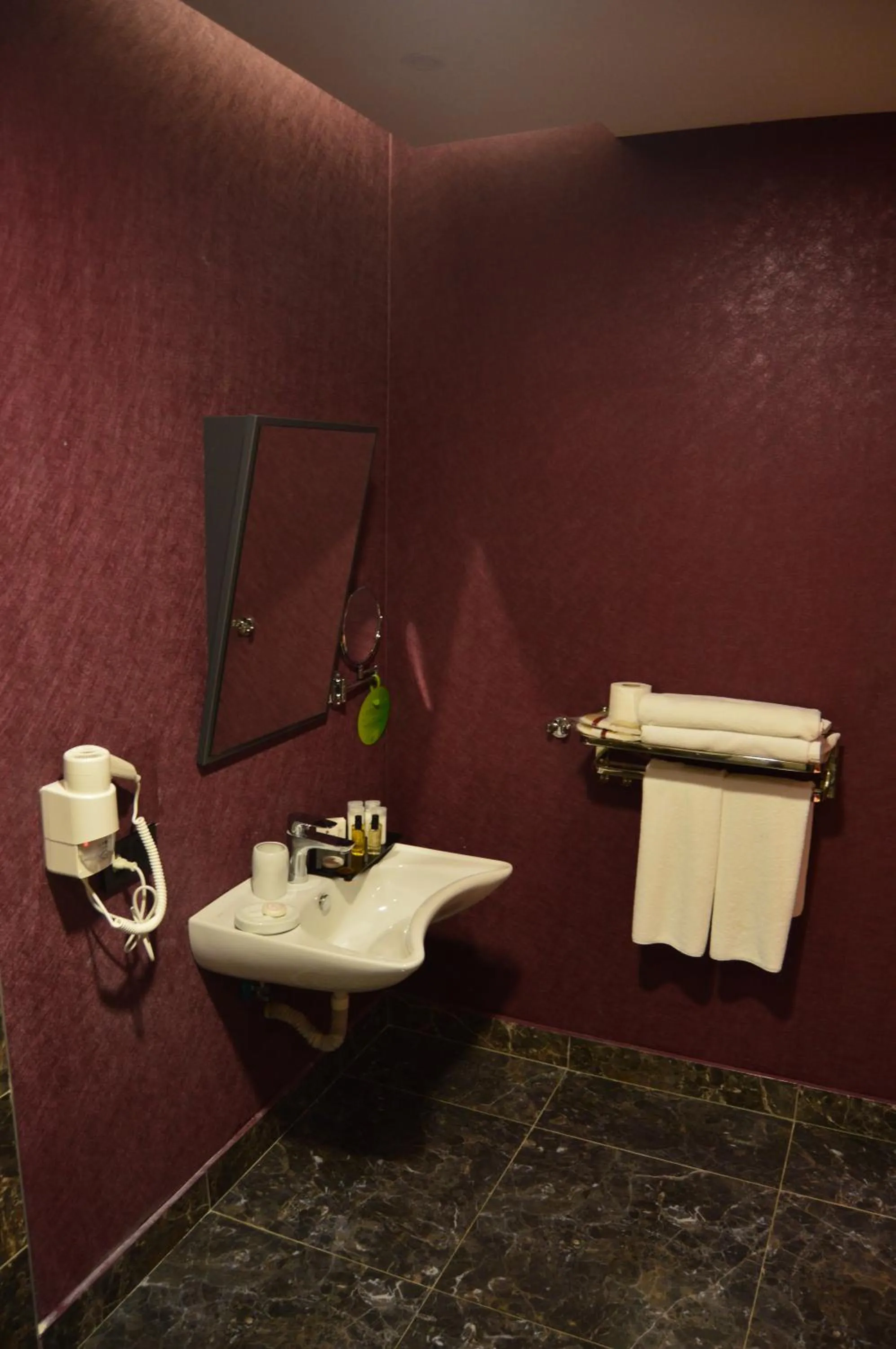 Facility for disabled guests in Euphoria Batumi Convention & Casino Hotel