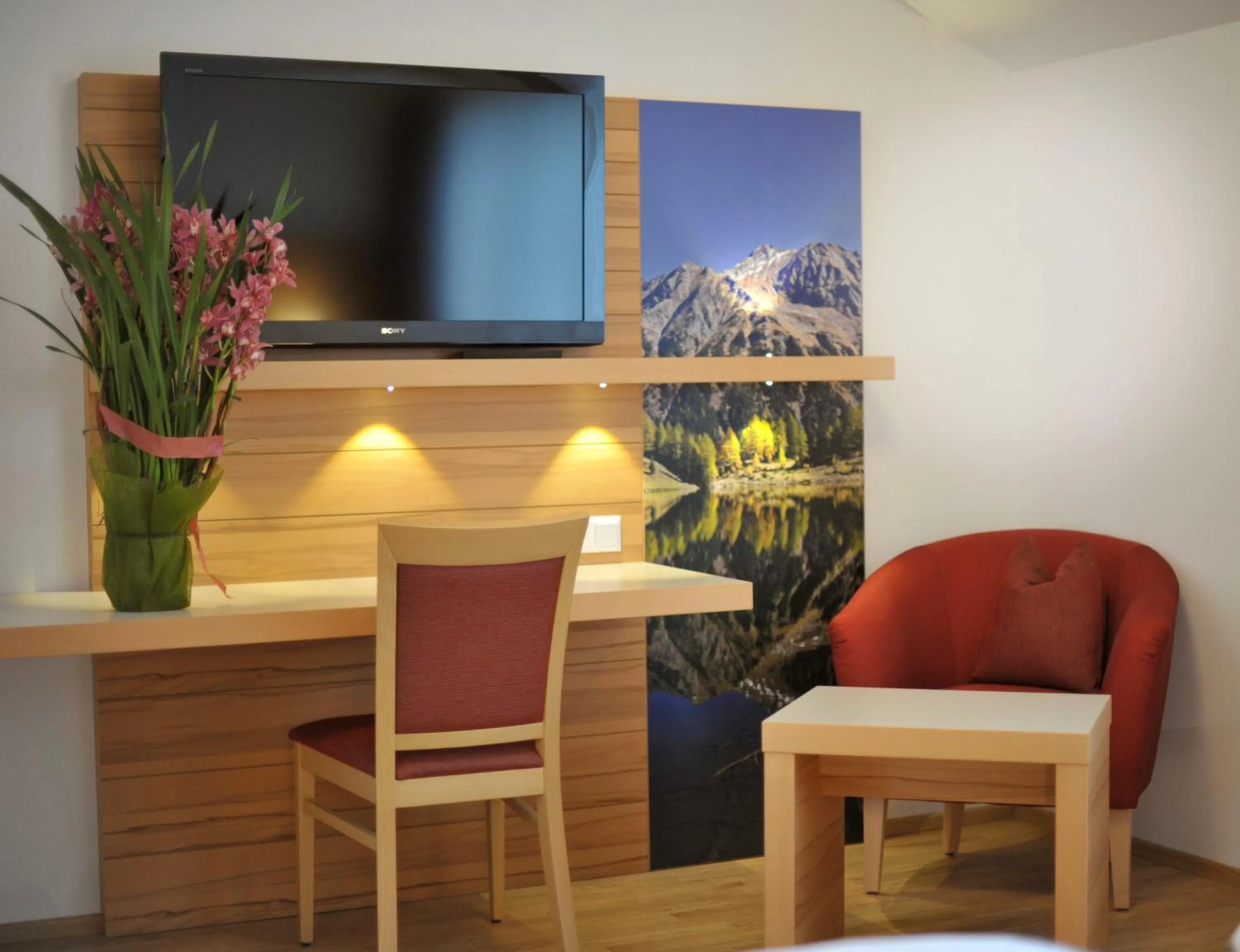 TV and multimedia in Hotel Sonnschupfer