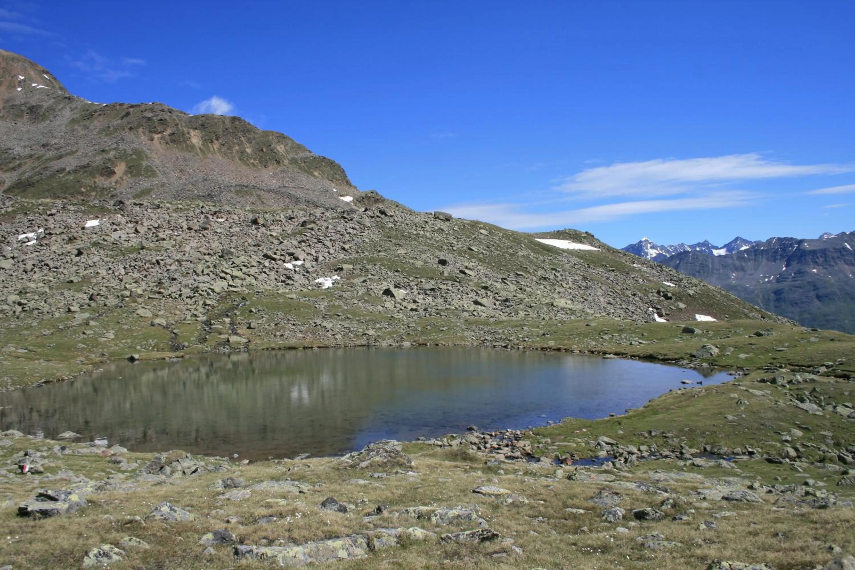 Area and facilities in Alpenaussicht