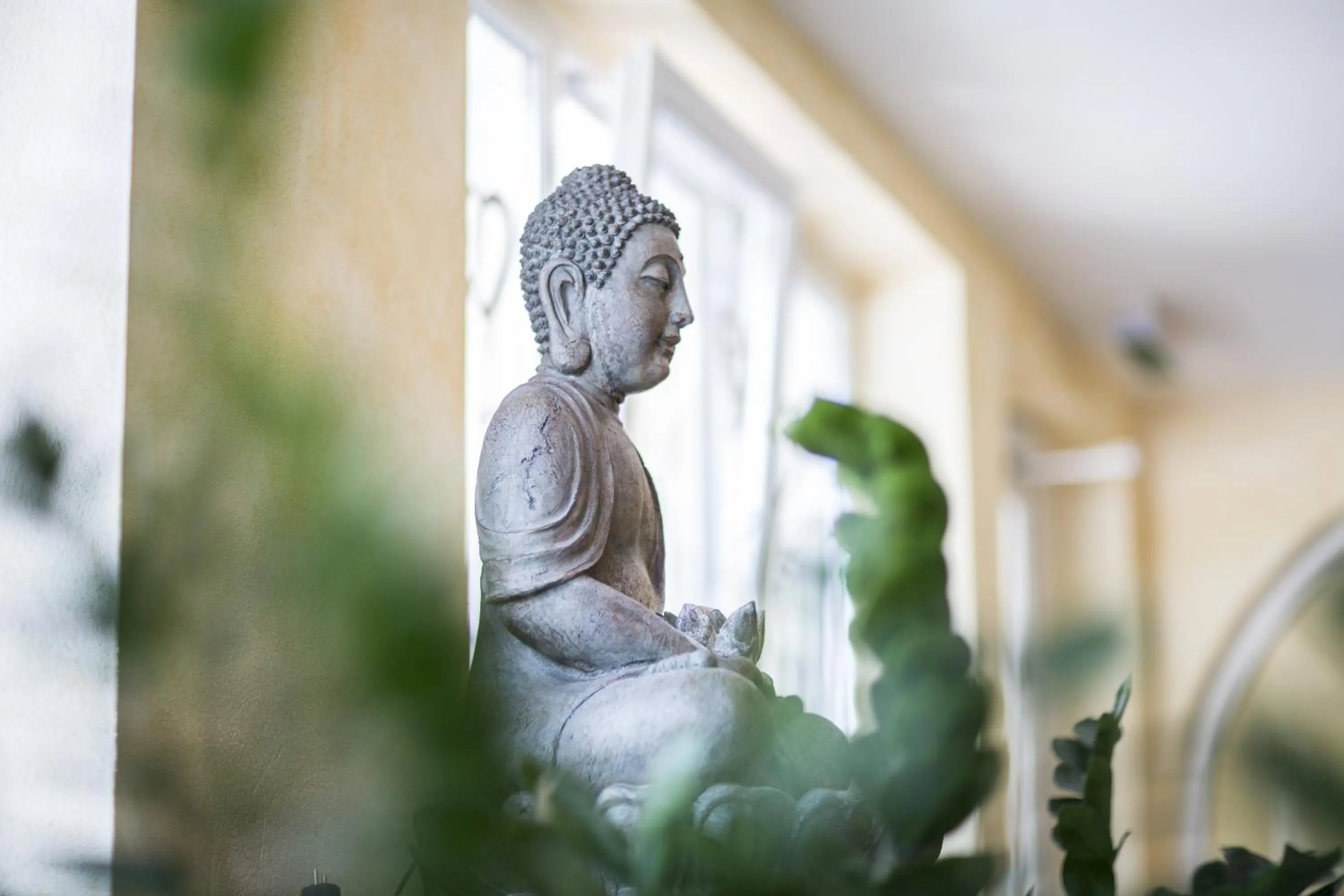 Spa and wellness centre/facilities in Alpenaussicht