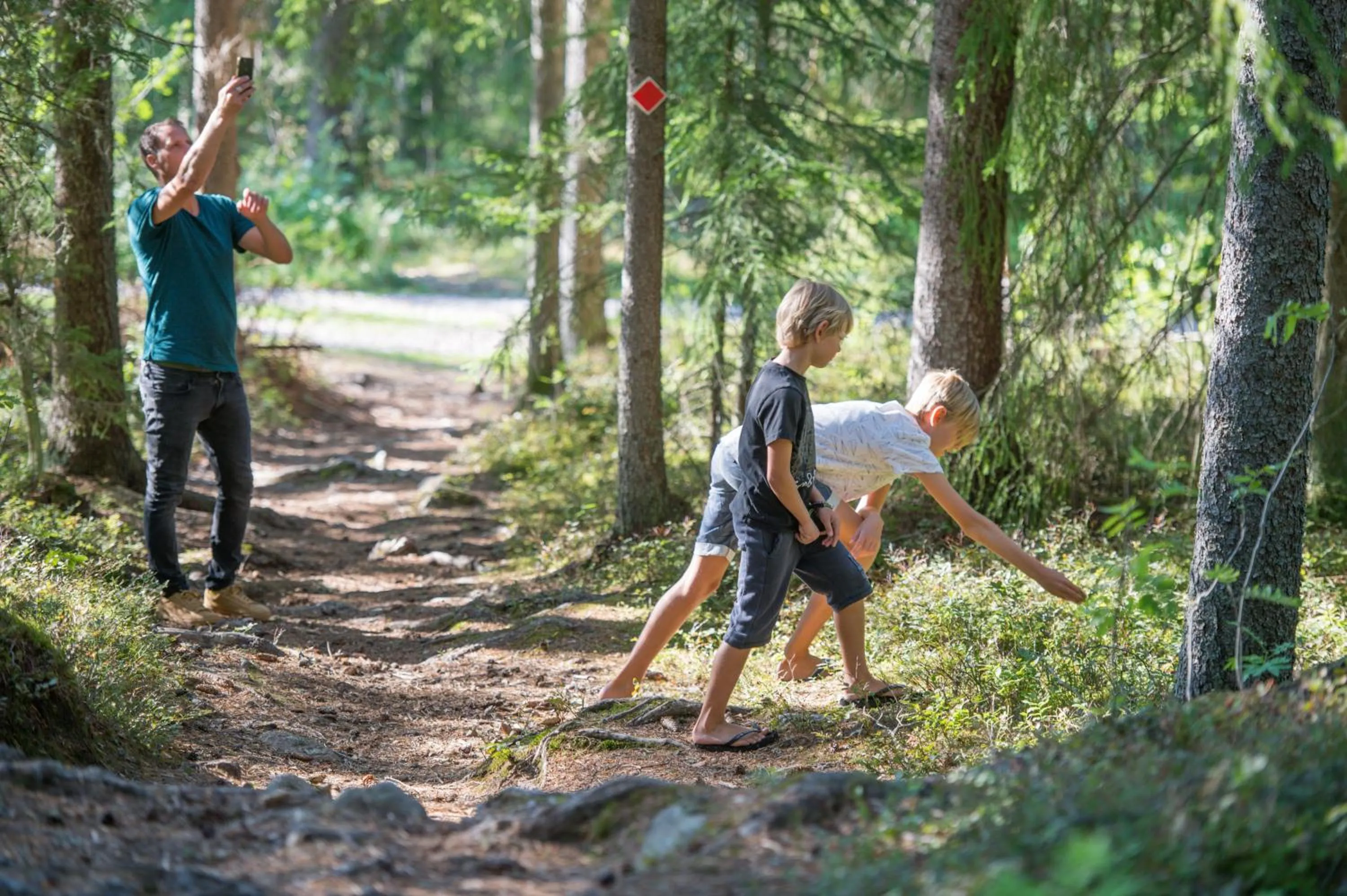 Natural landscape in Green Hotel
