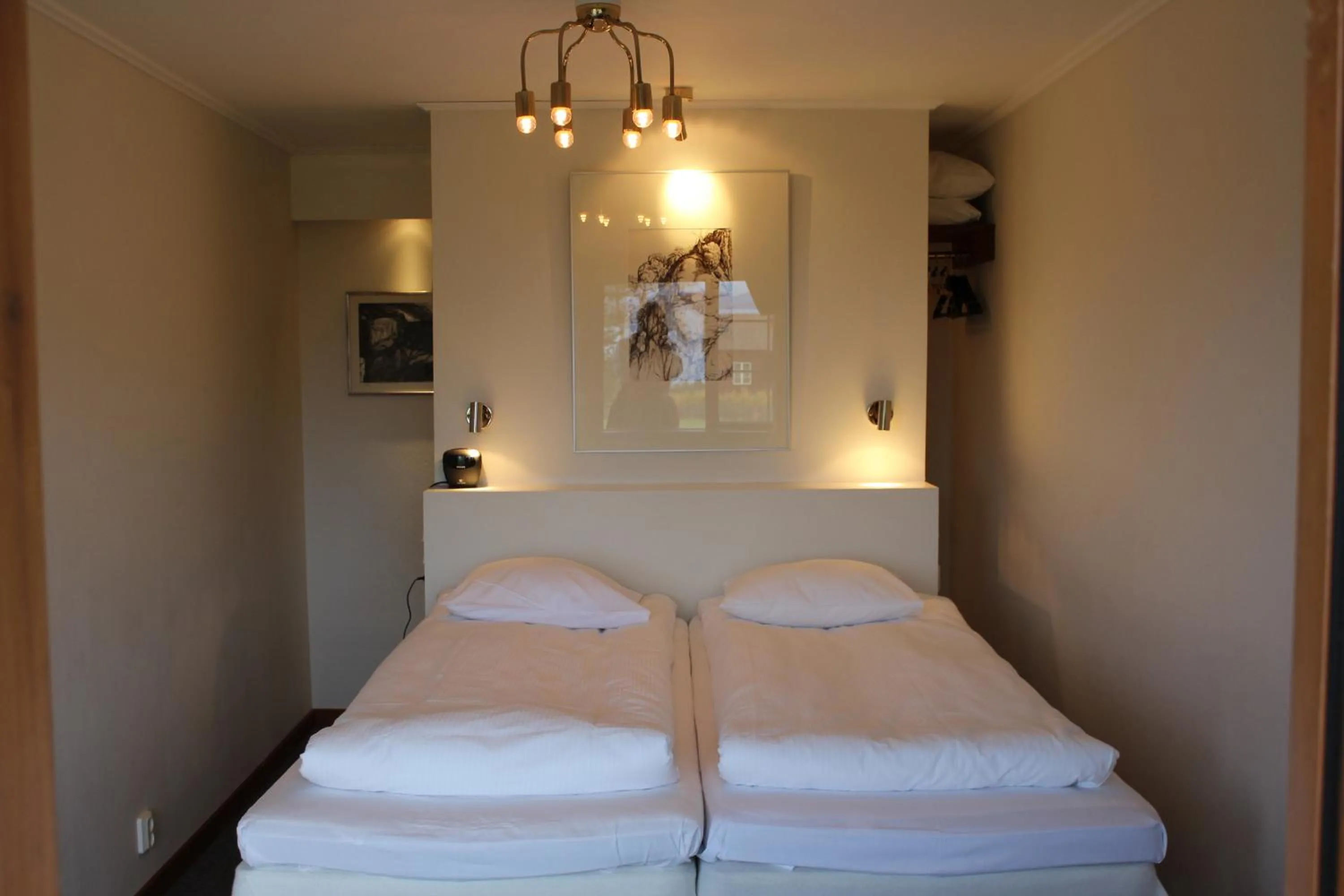 Photo of the whole room in Green Hotel