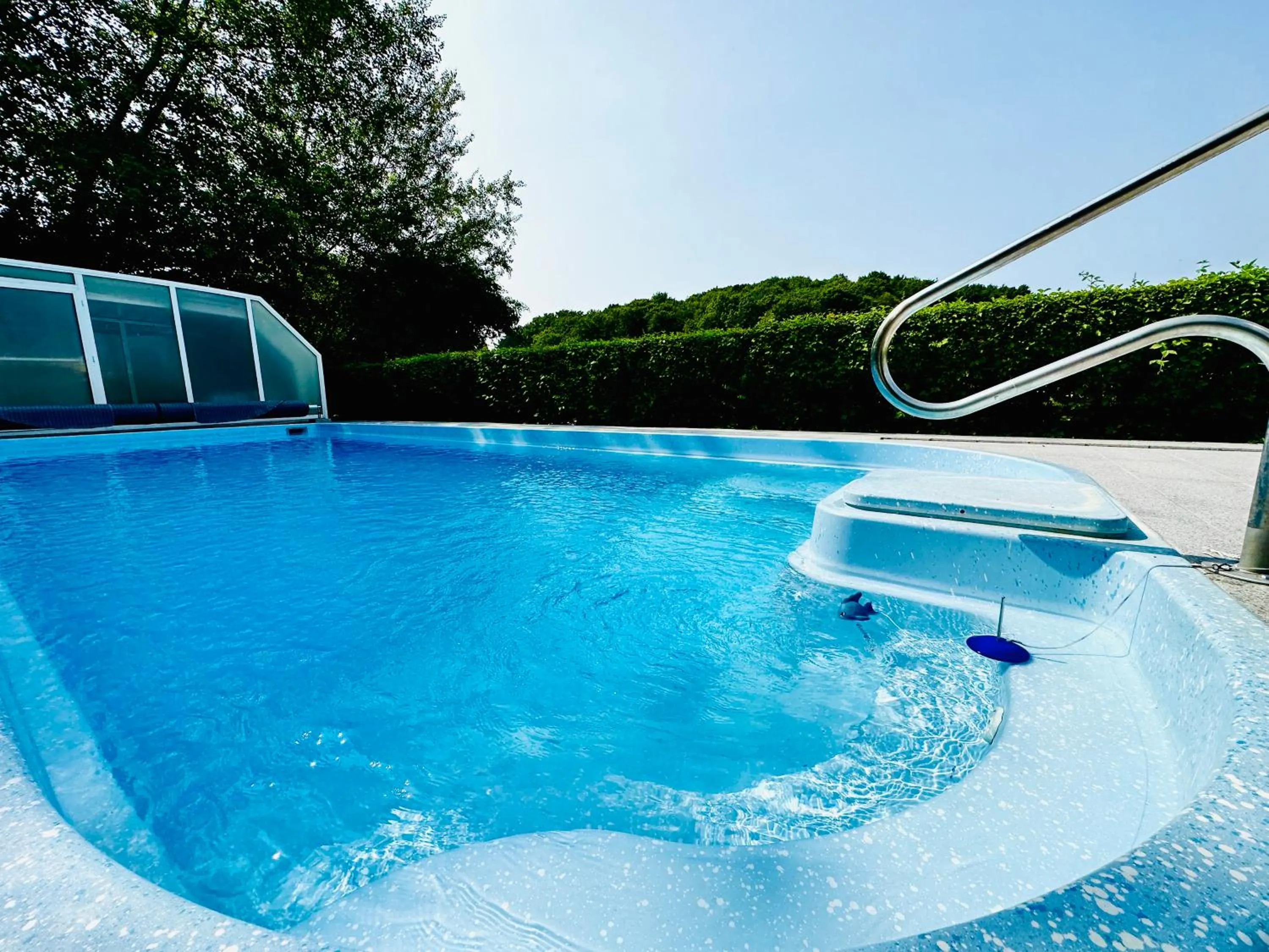 Swimming pool in Vitalhotel Krainz