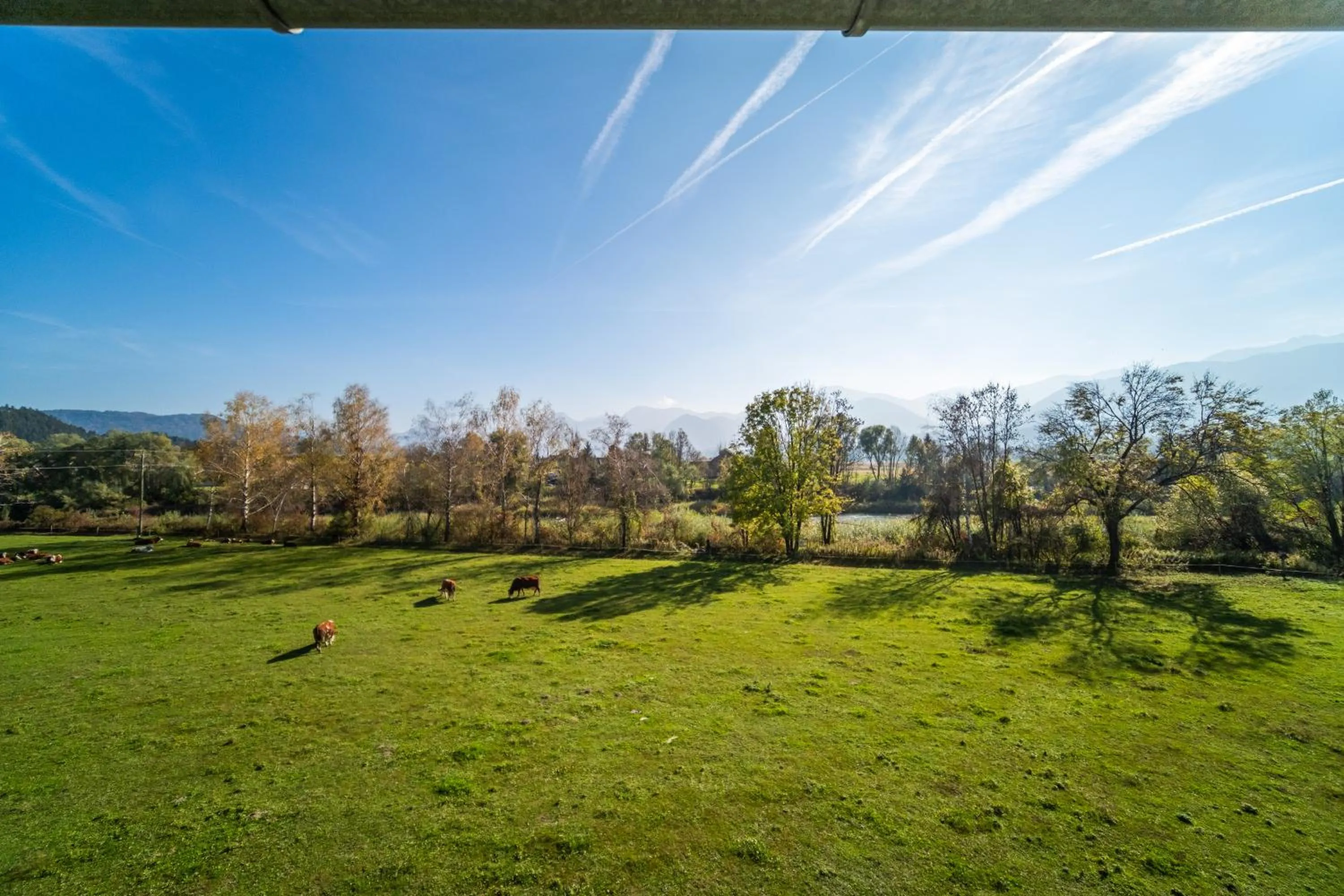 Natural landscape in Hotel Fuchs & Hase SELF CHECK IN