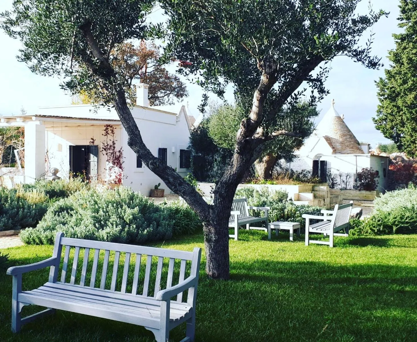 Garden in Tenuta del Lauro