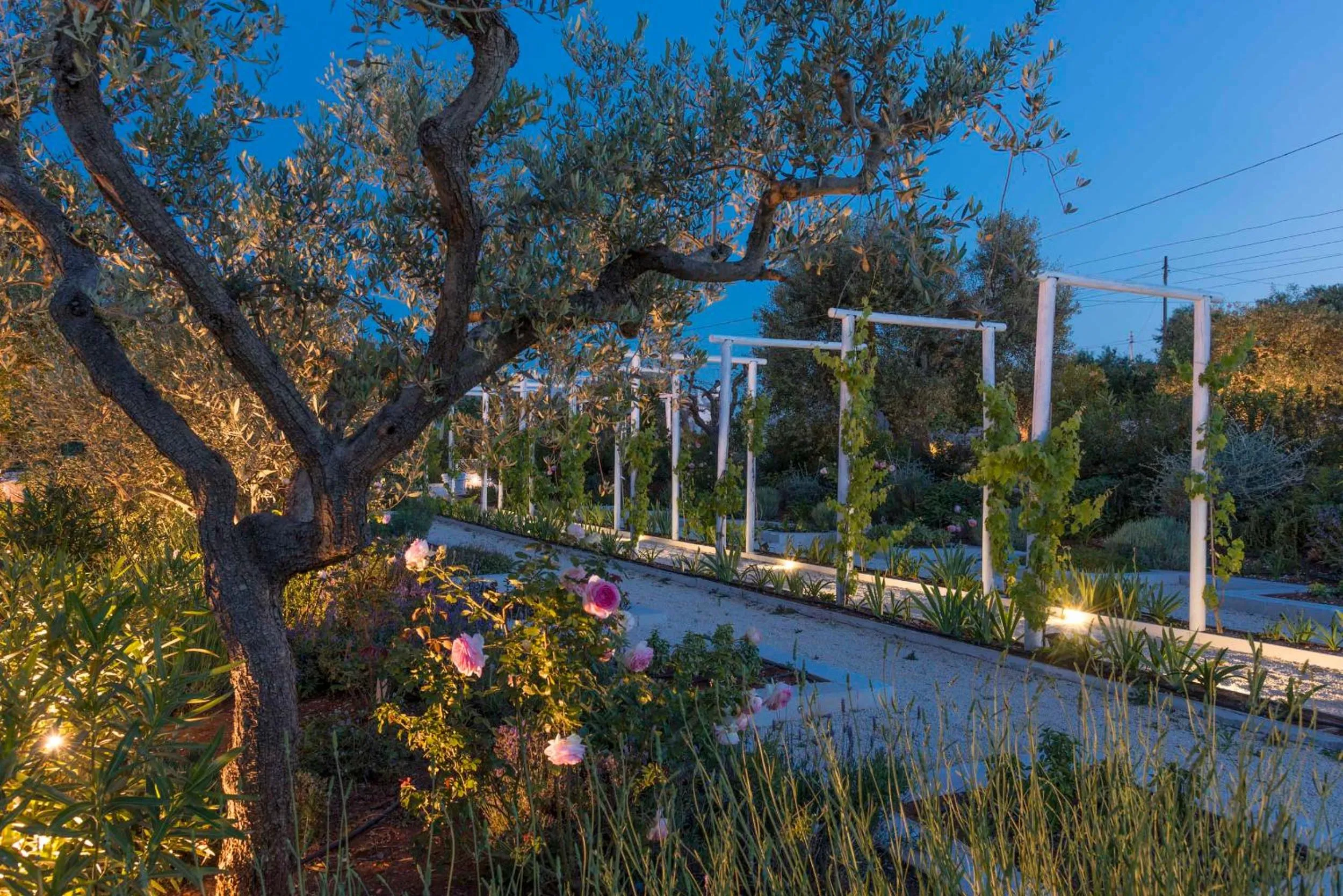 Spring in Tenuta del Lauro