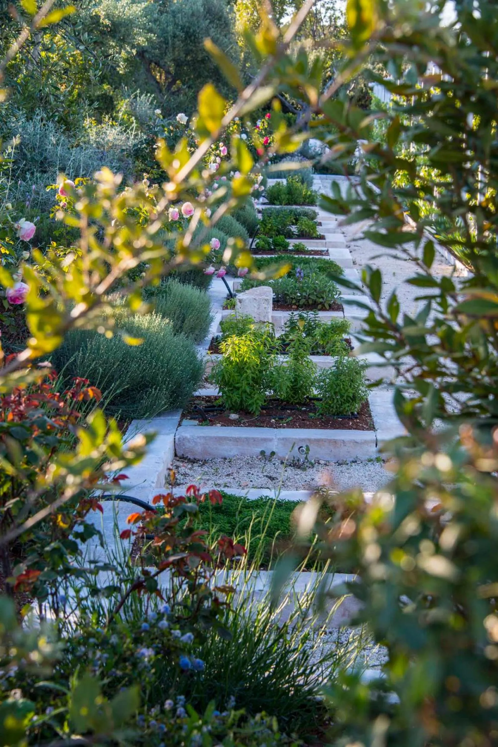 Spring in Tenuta del Lauro