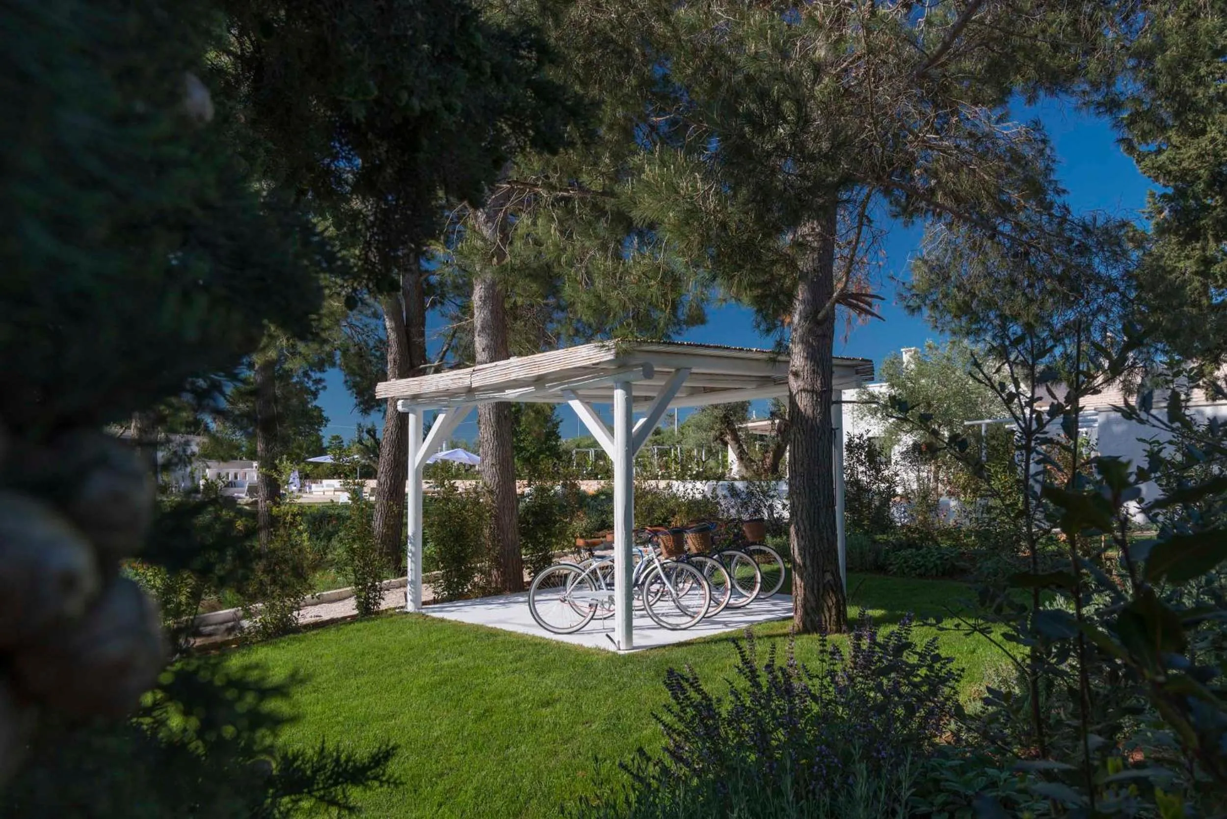 Spring in Tenuta del Lauro