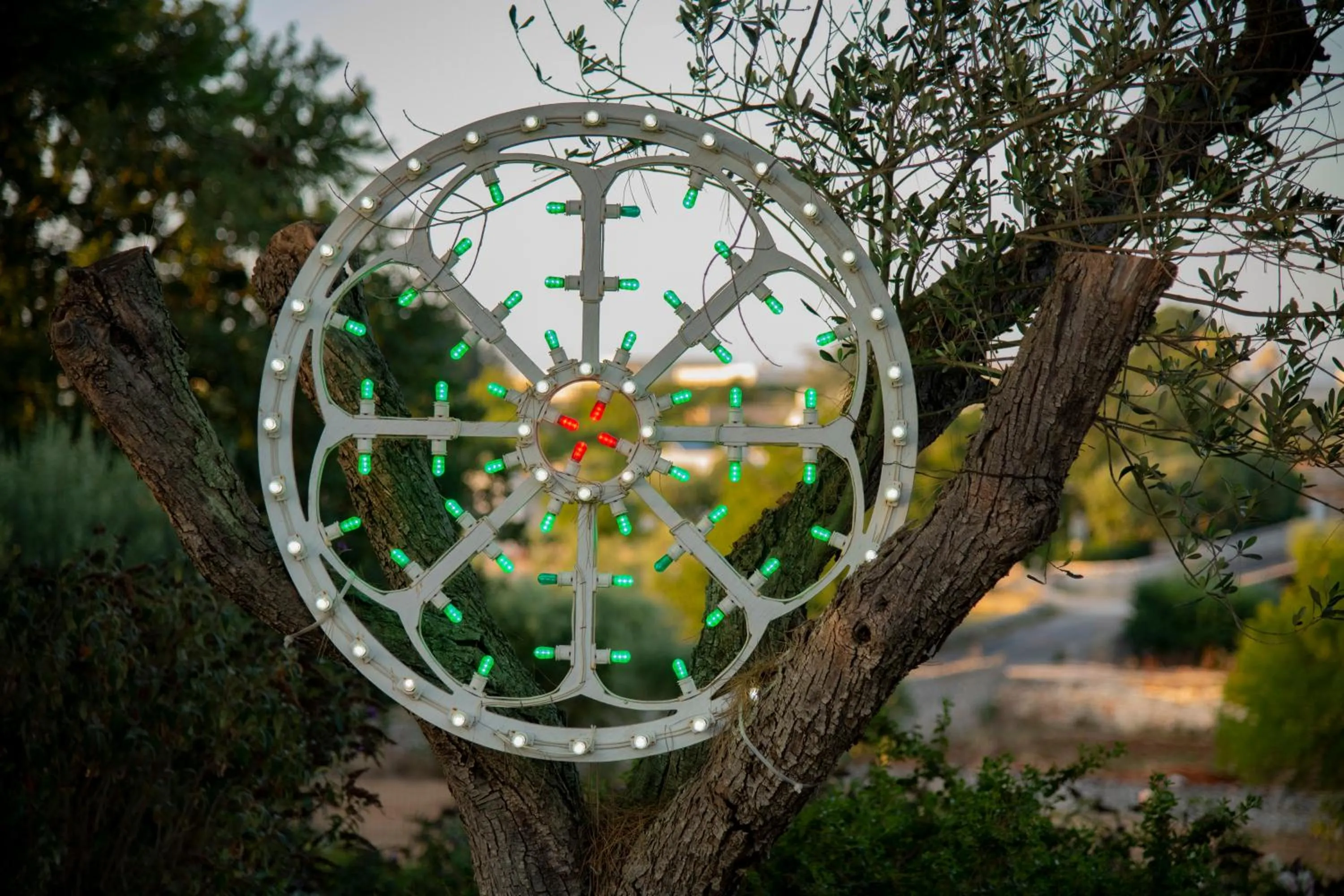 Garden in Tenuta del Lauro