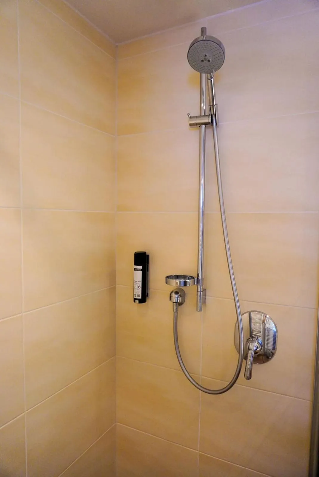 Shower in DAS VIER Sport,- und Wellnesshotel