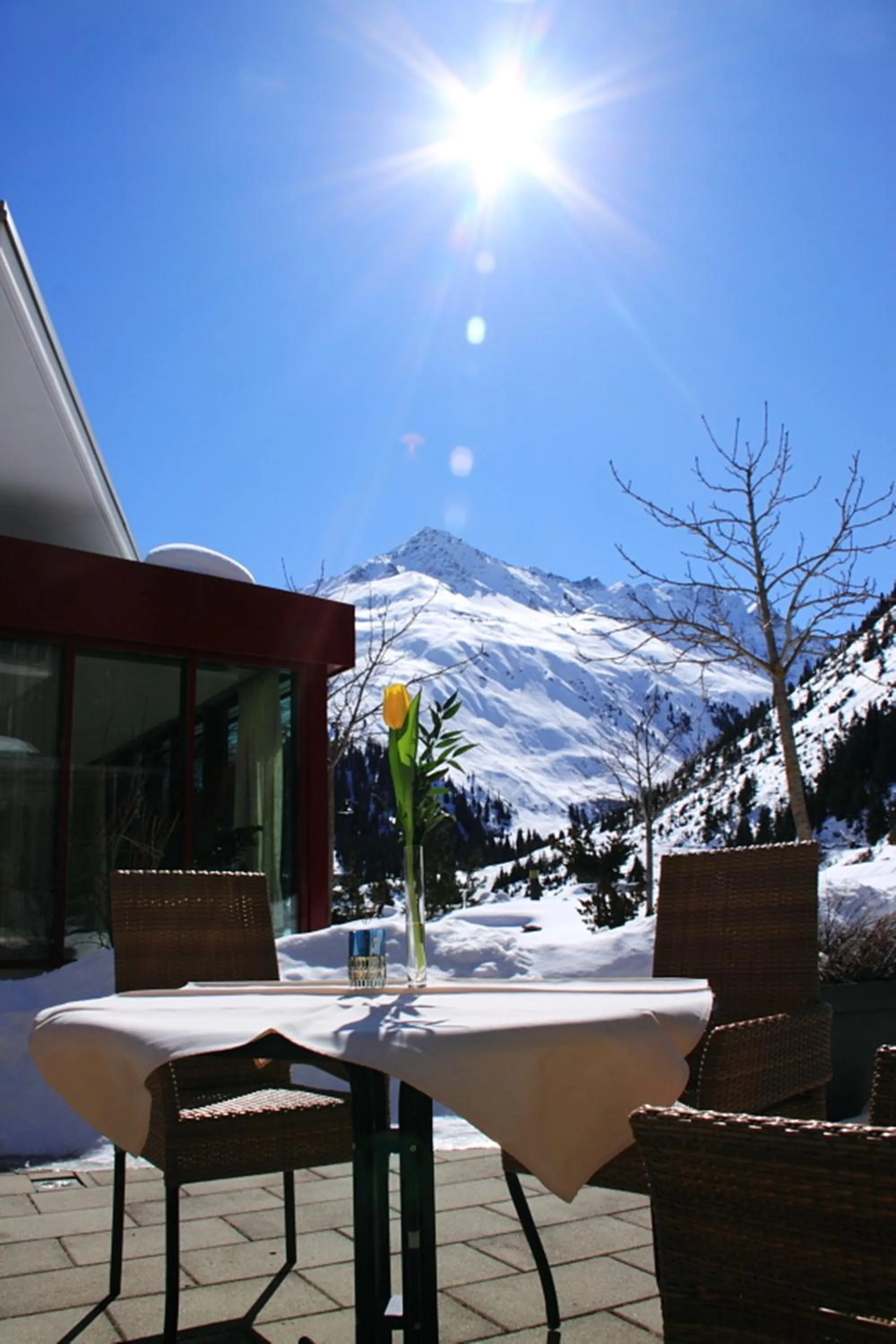 Balcony/Terrace in Hotel Vier Jahreszeiten