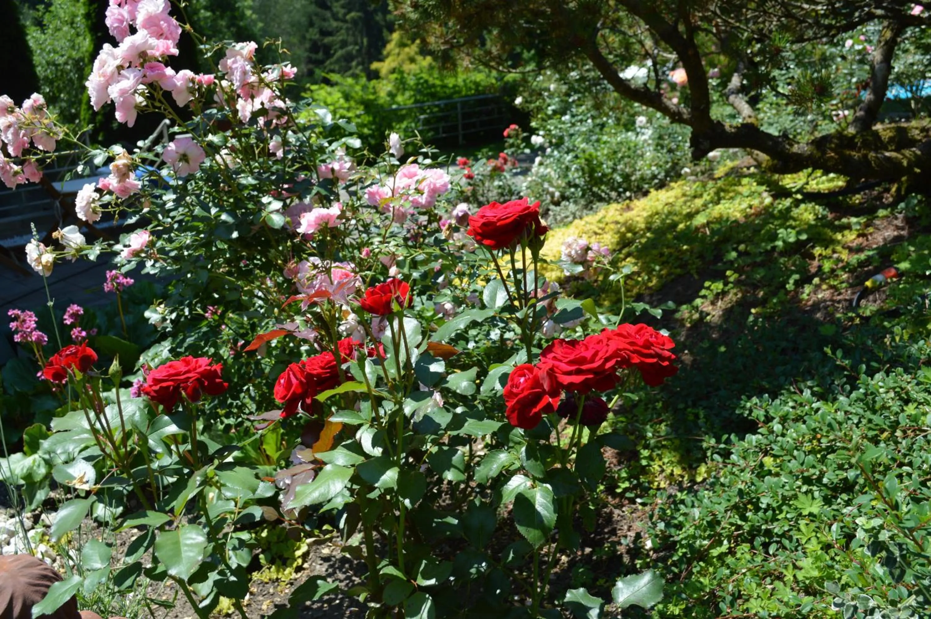 Garden in Landidyll-Hotel Nudelbacher