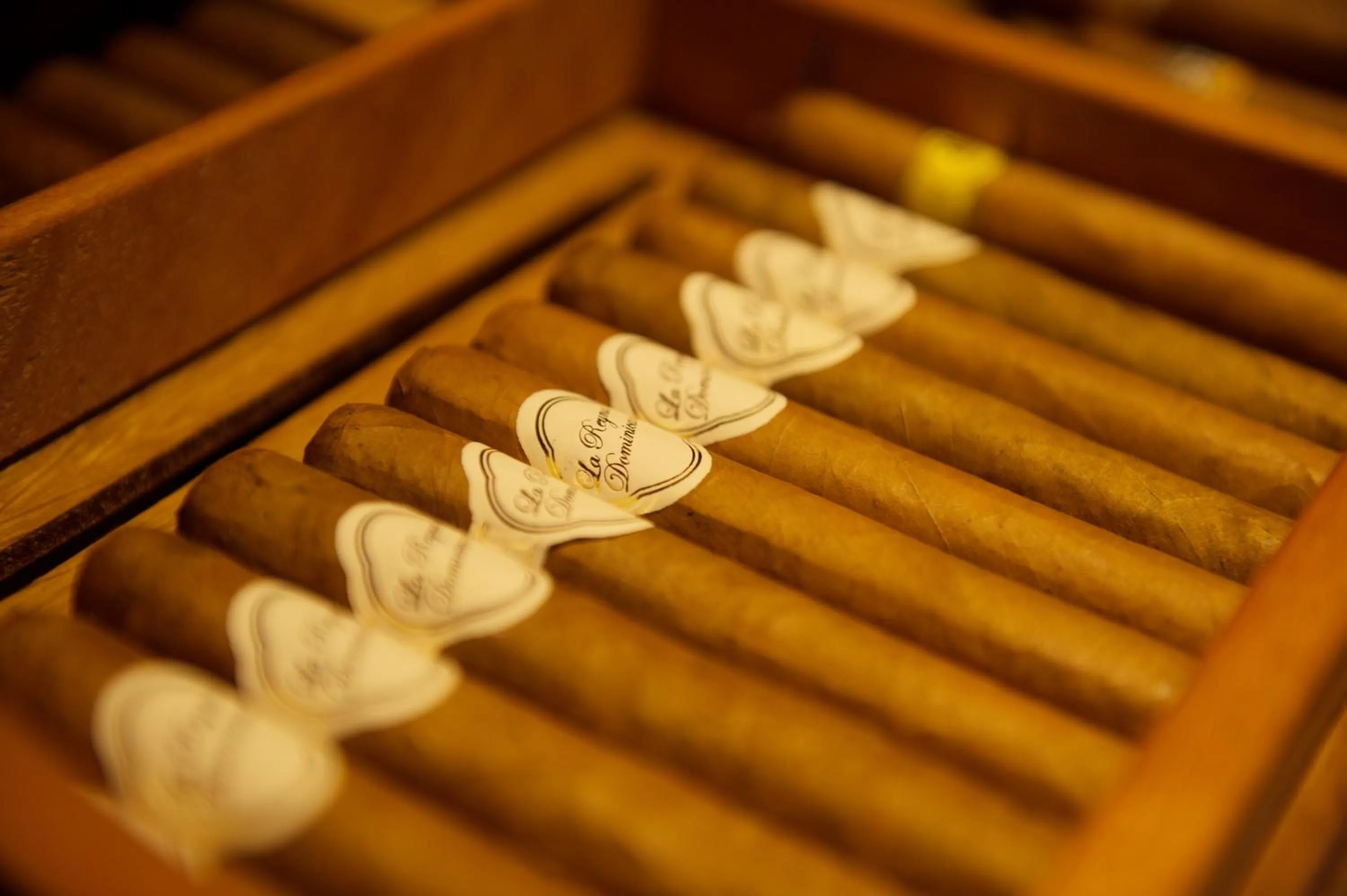 Other in Hotel Neuhintertux 4 Sterne superior