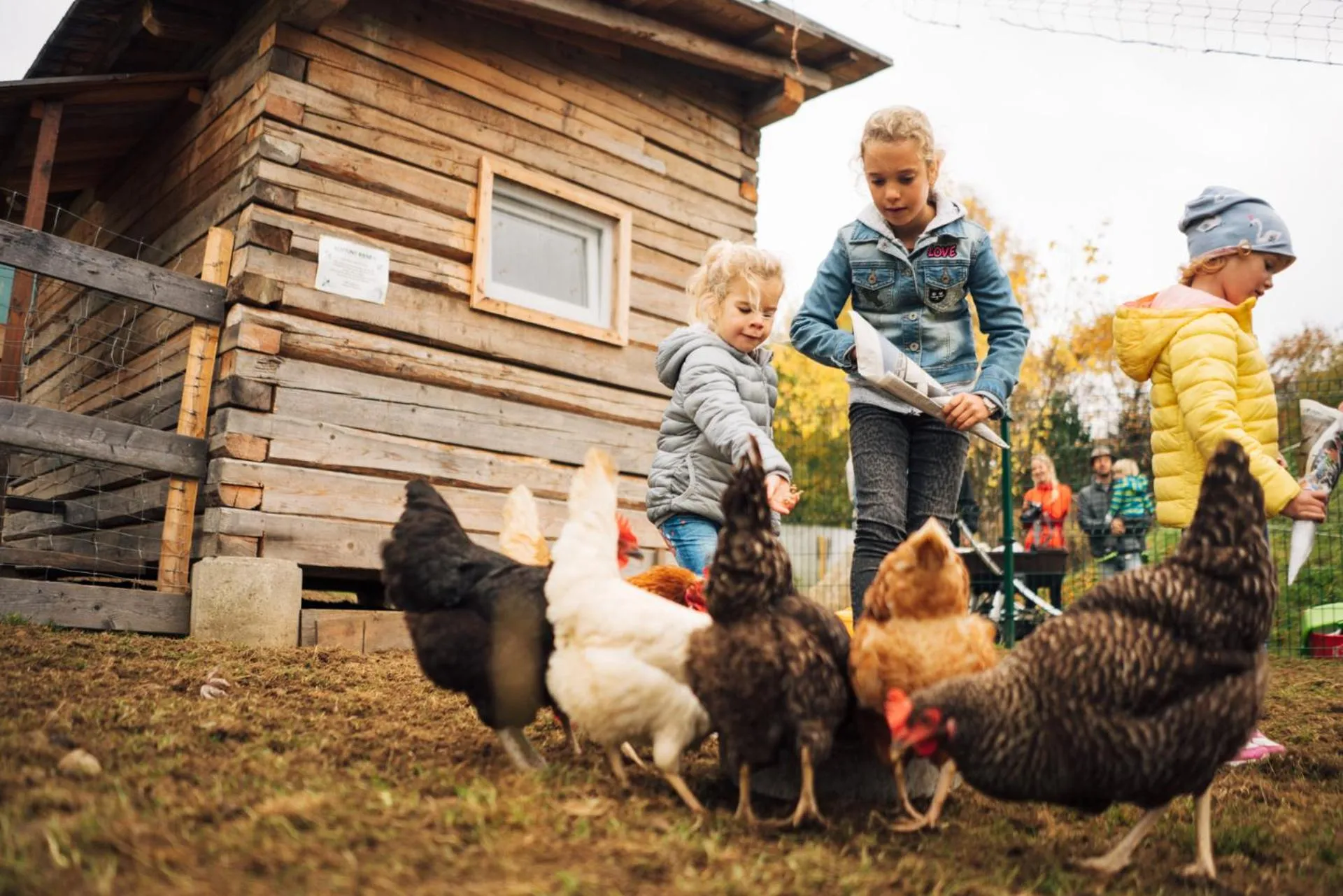 Animals in Der Kirchheimerhof - Superior